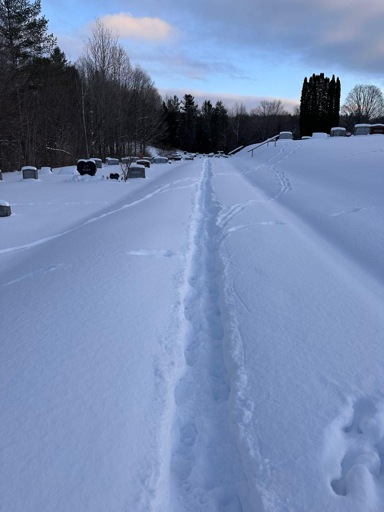  for The Dailey Daisy in Hardwick, VT