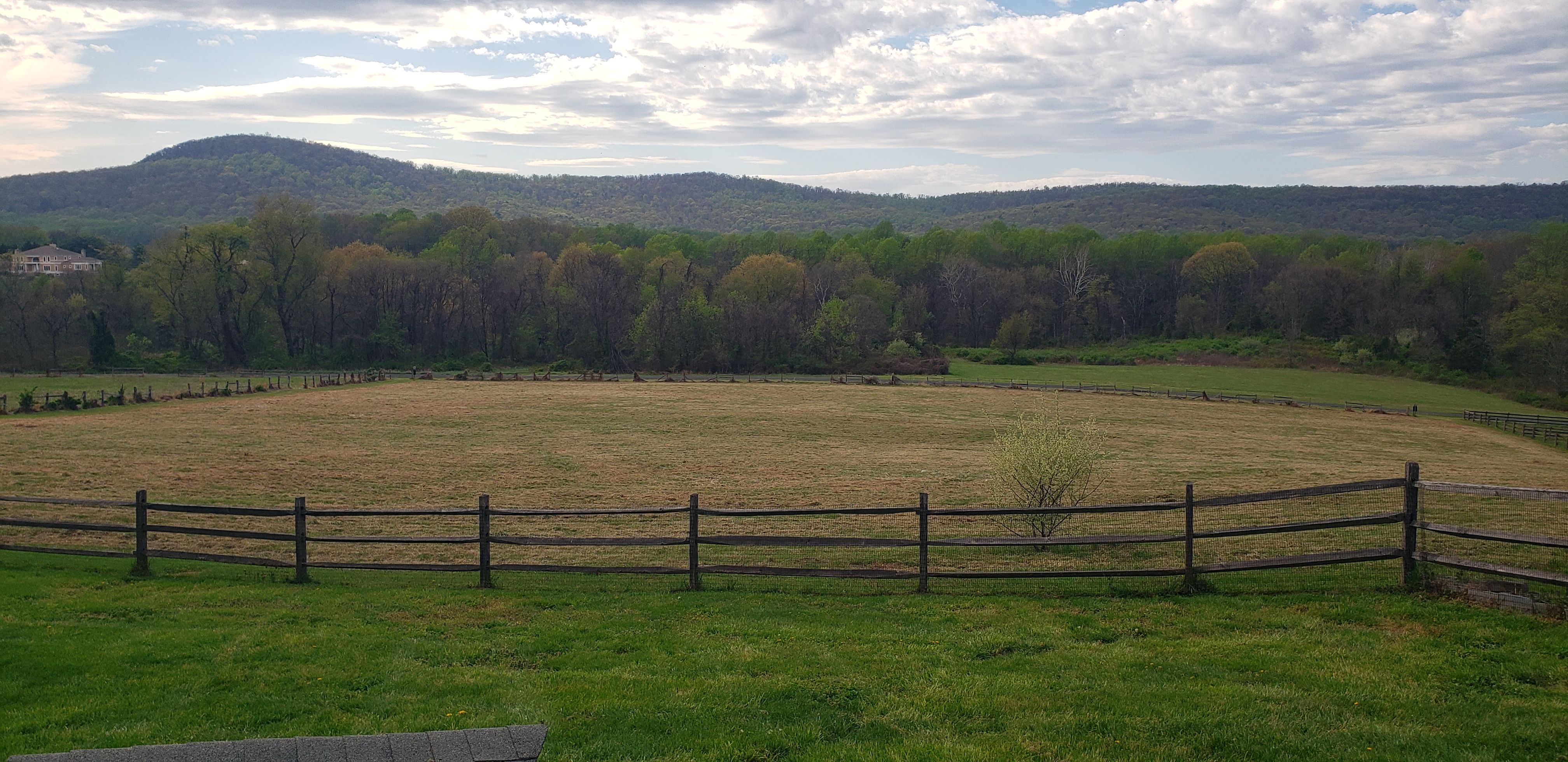  for Clean Cut Lawns & Landscaping in Dickerson, MD