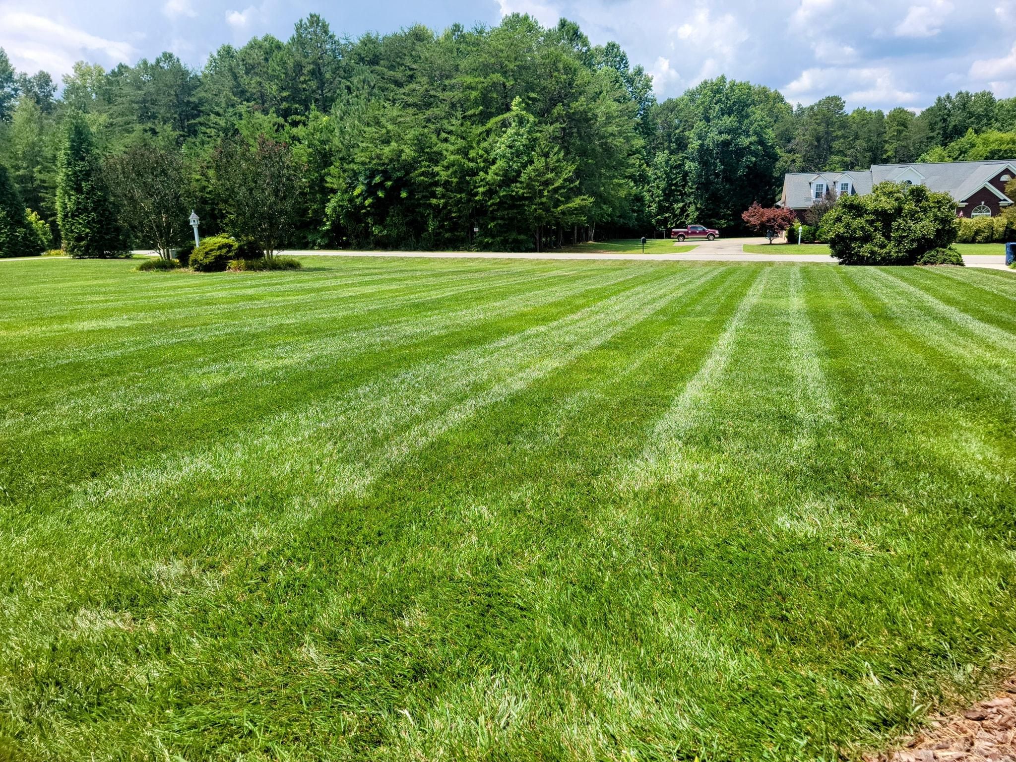  for Piedmont Lawn and Landscaping in Lexington, NC