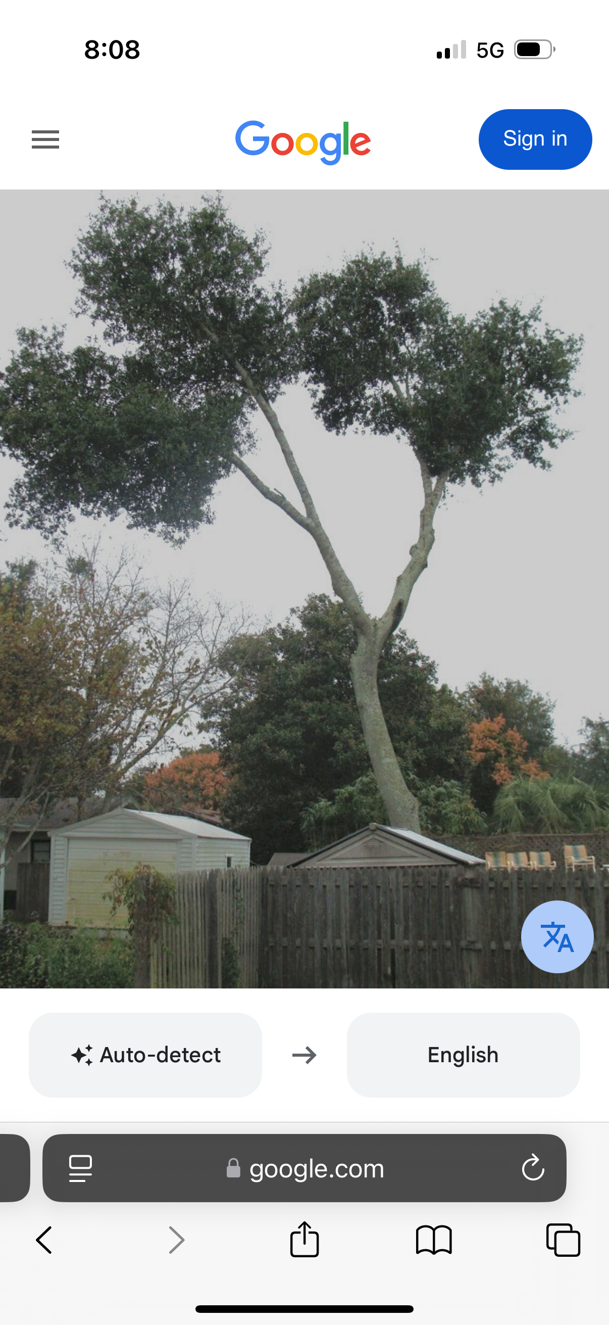  for Damian’s Tree Care in Sarasota, FL