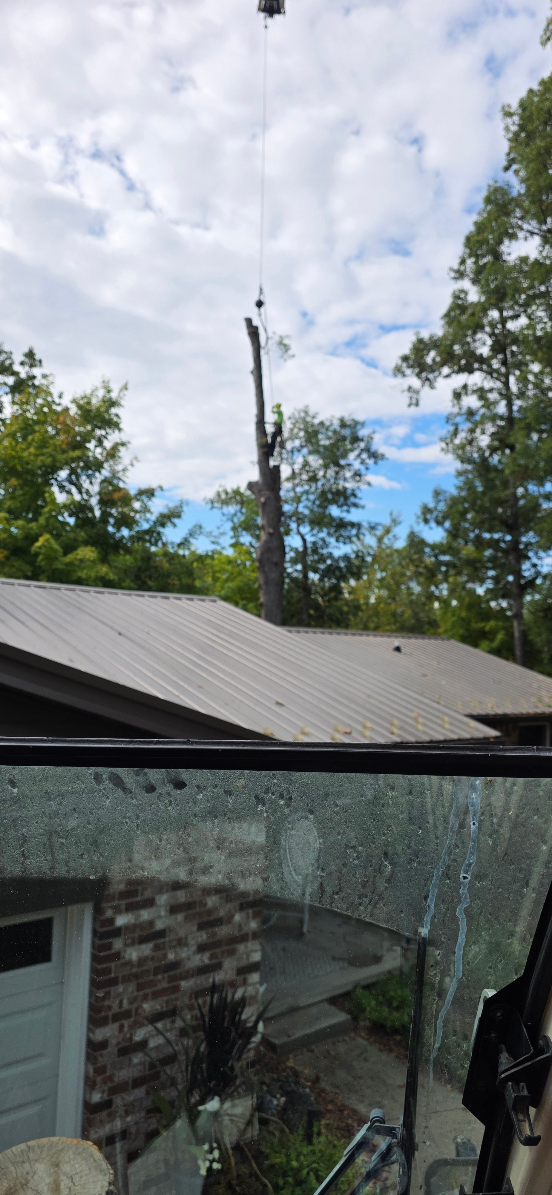  for Advanced Tree Solutions in Rockville, IN