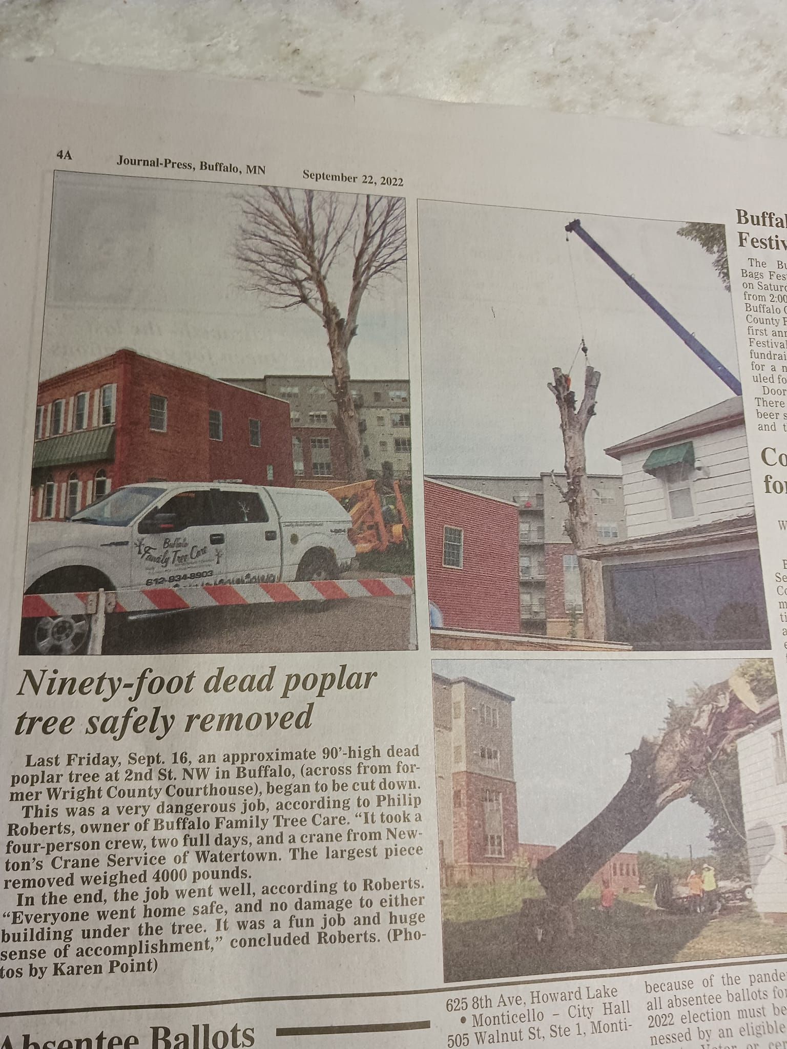Tree Removal for Buffalo Family Tree Care in Buffalo, MN