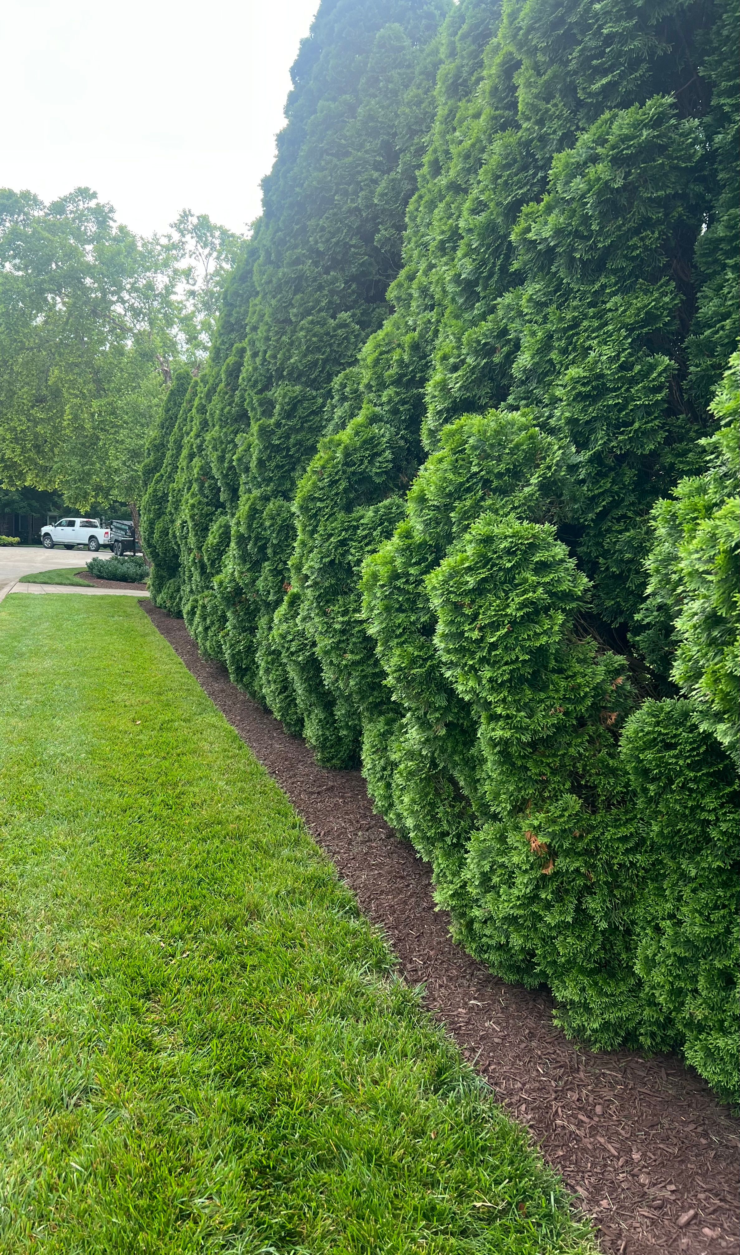  for Full Service Landscaping in Louisville, KY