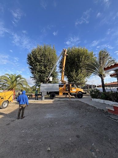  for Nurry Tree Services in Miami, FL