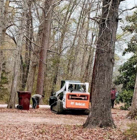  for DNA Tree Service in Birmingham, AL