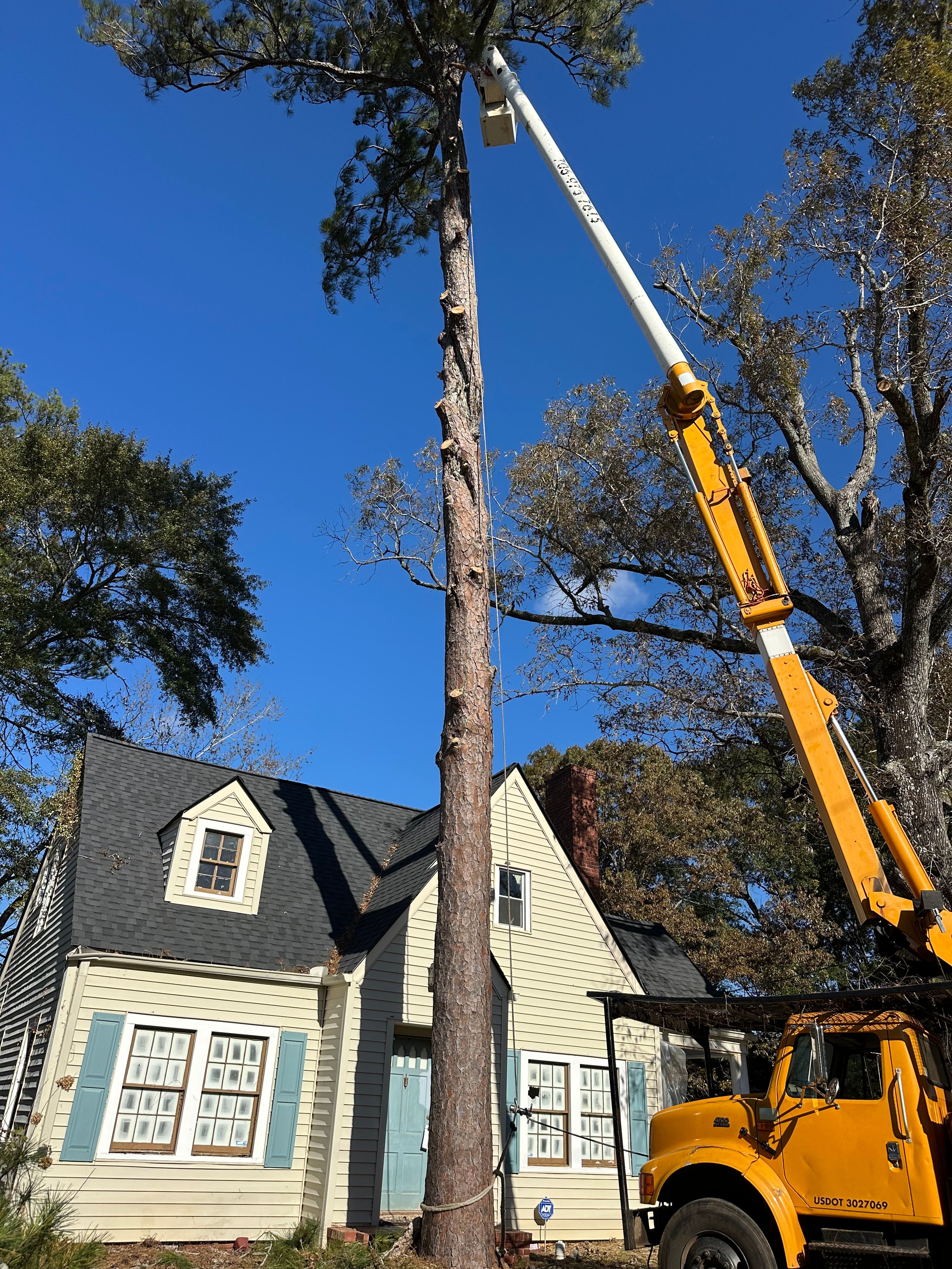  for ArborMax in Thomaston, GA