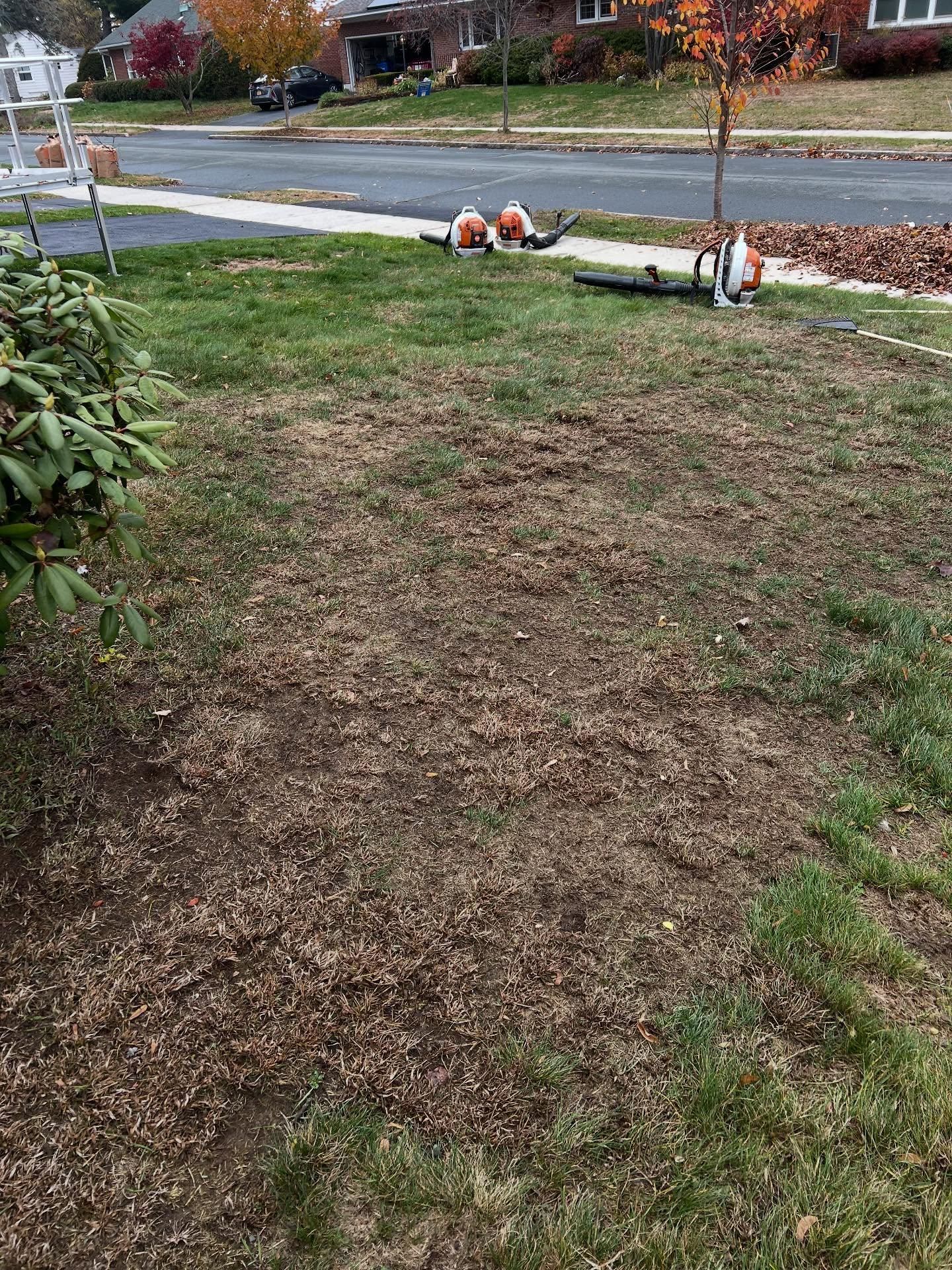  for Bumblebee Lawn Care LLC in Albany, New York