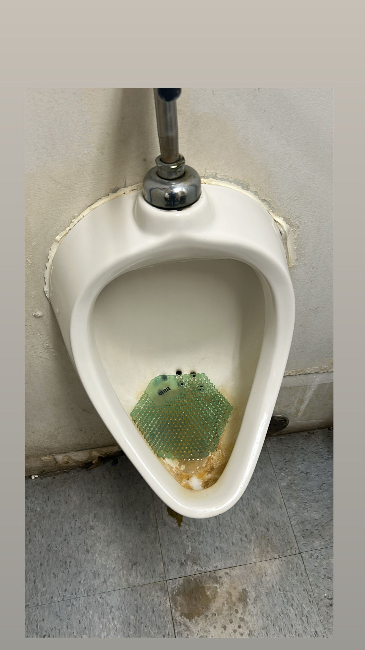  for Cleaning Carolina’s LLC in Greensboro, NC