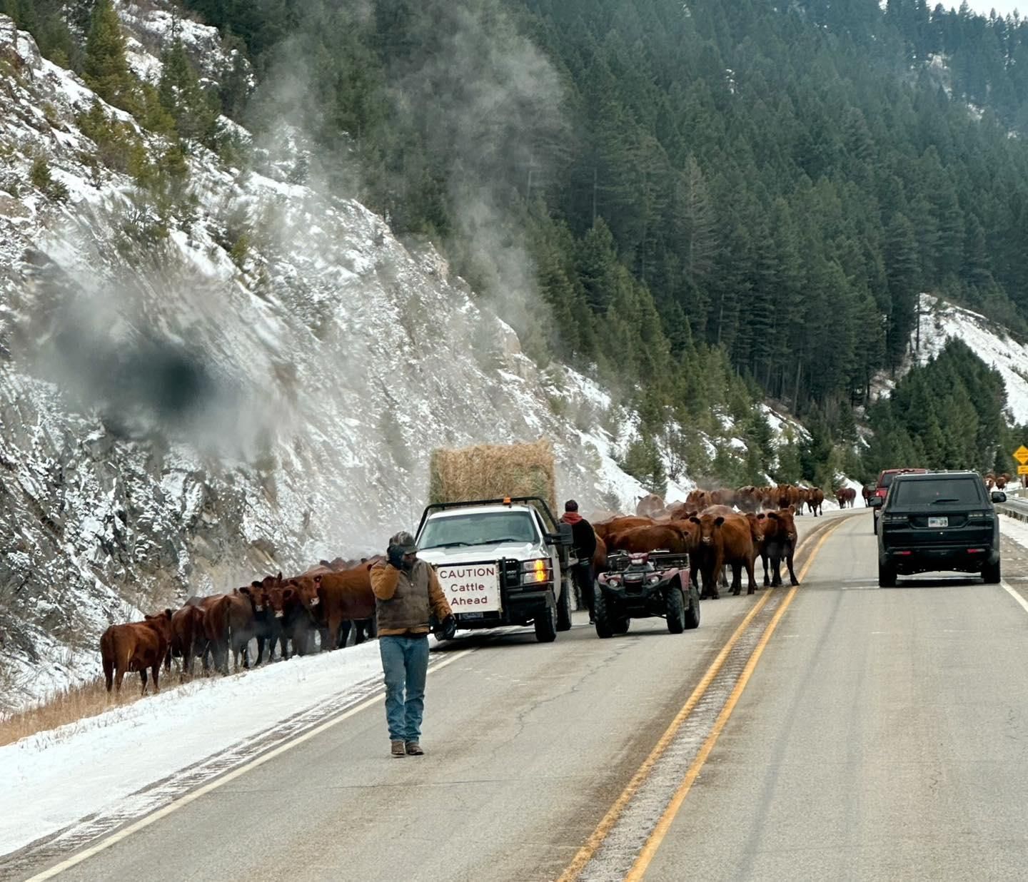  for Rocky Mountain Dirt Work in Missoula, MT