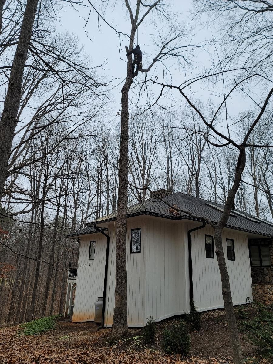  for Integrity Tree and Landscaping in Lynchburg, VA