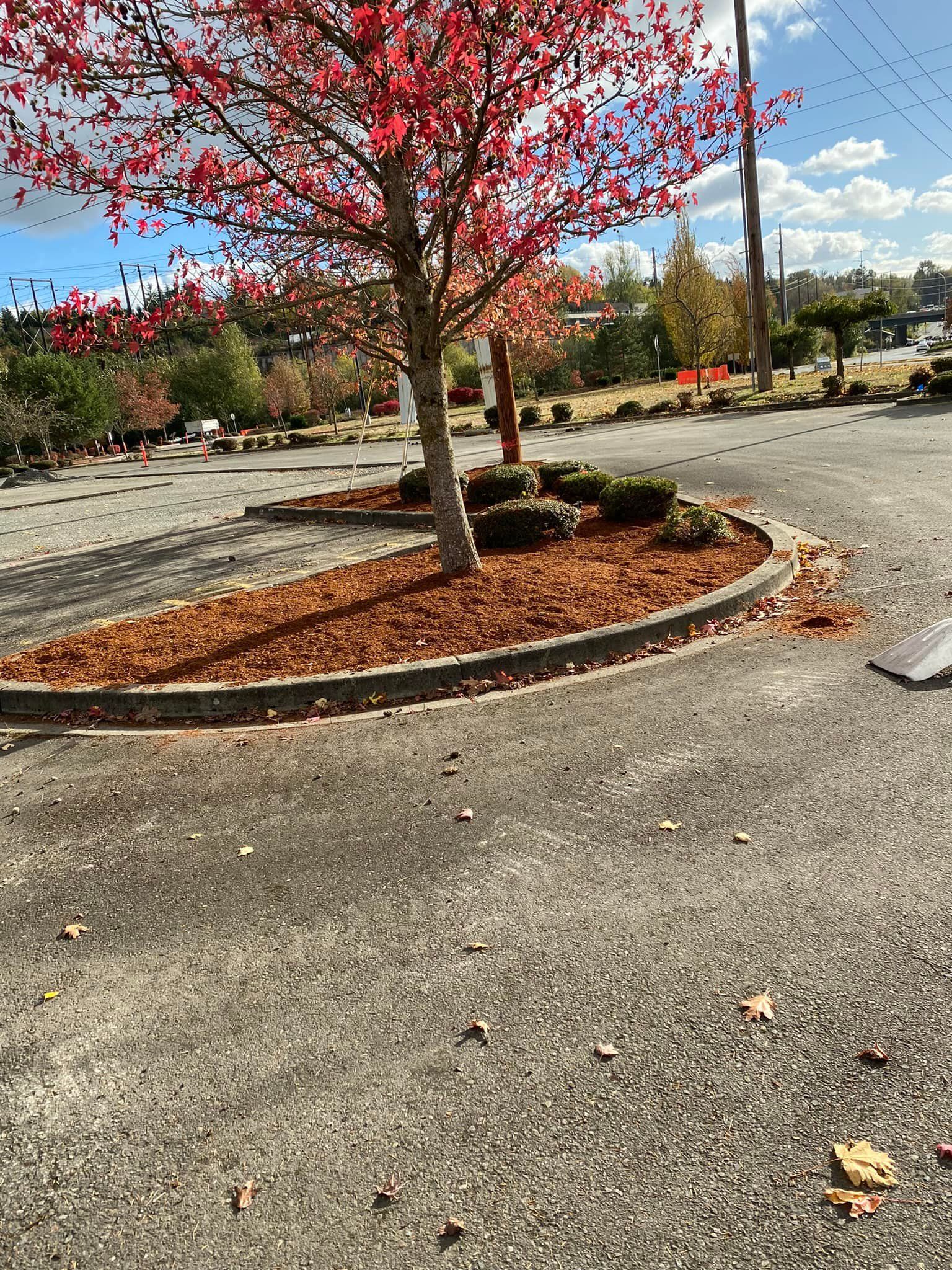  for Family Landscaping & Irrigation in Auburn, WA