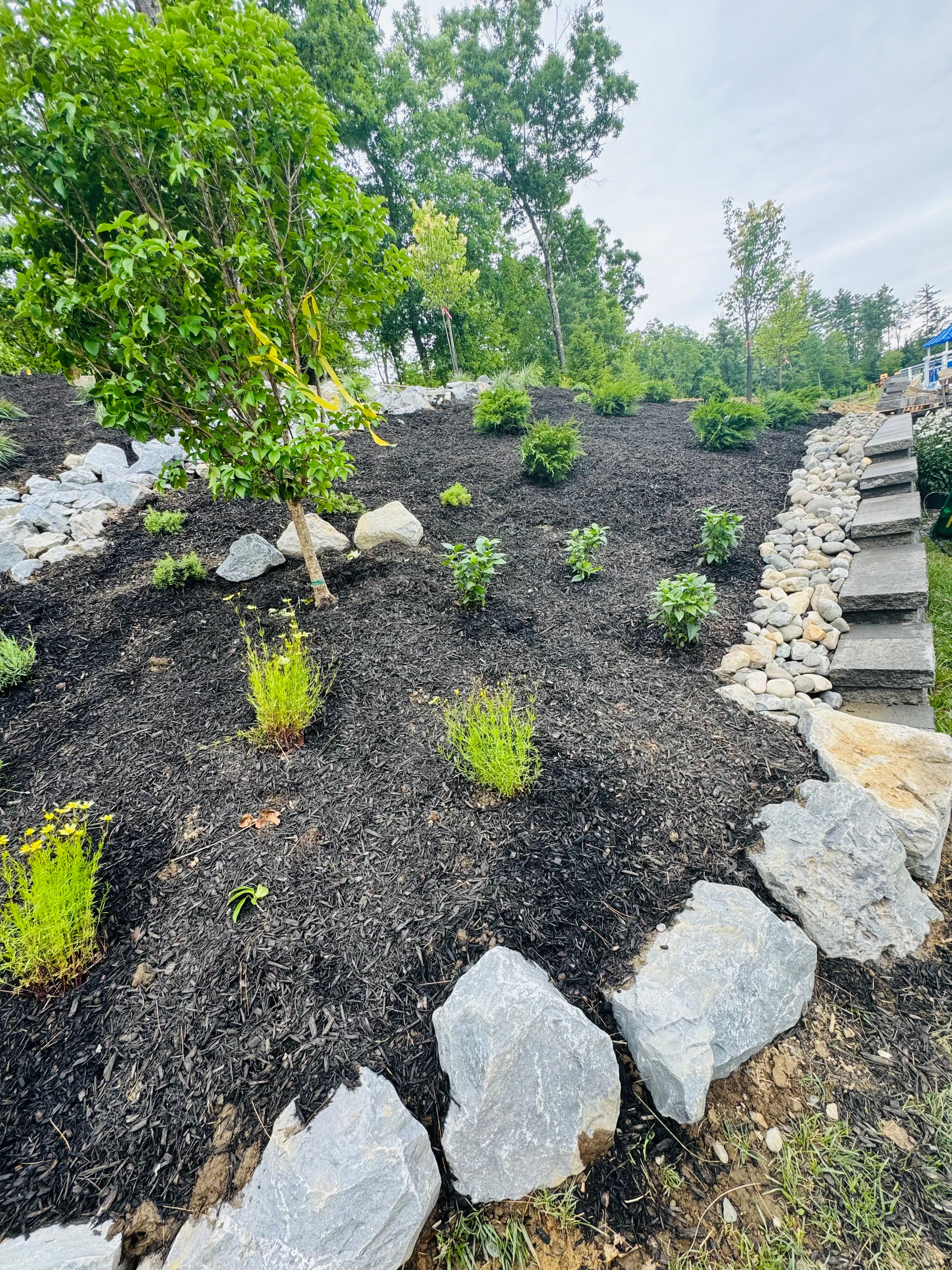  for The Lawn Guy in Saratoga Springs, NY