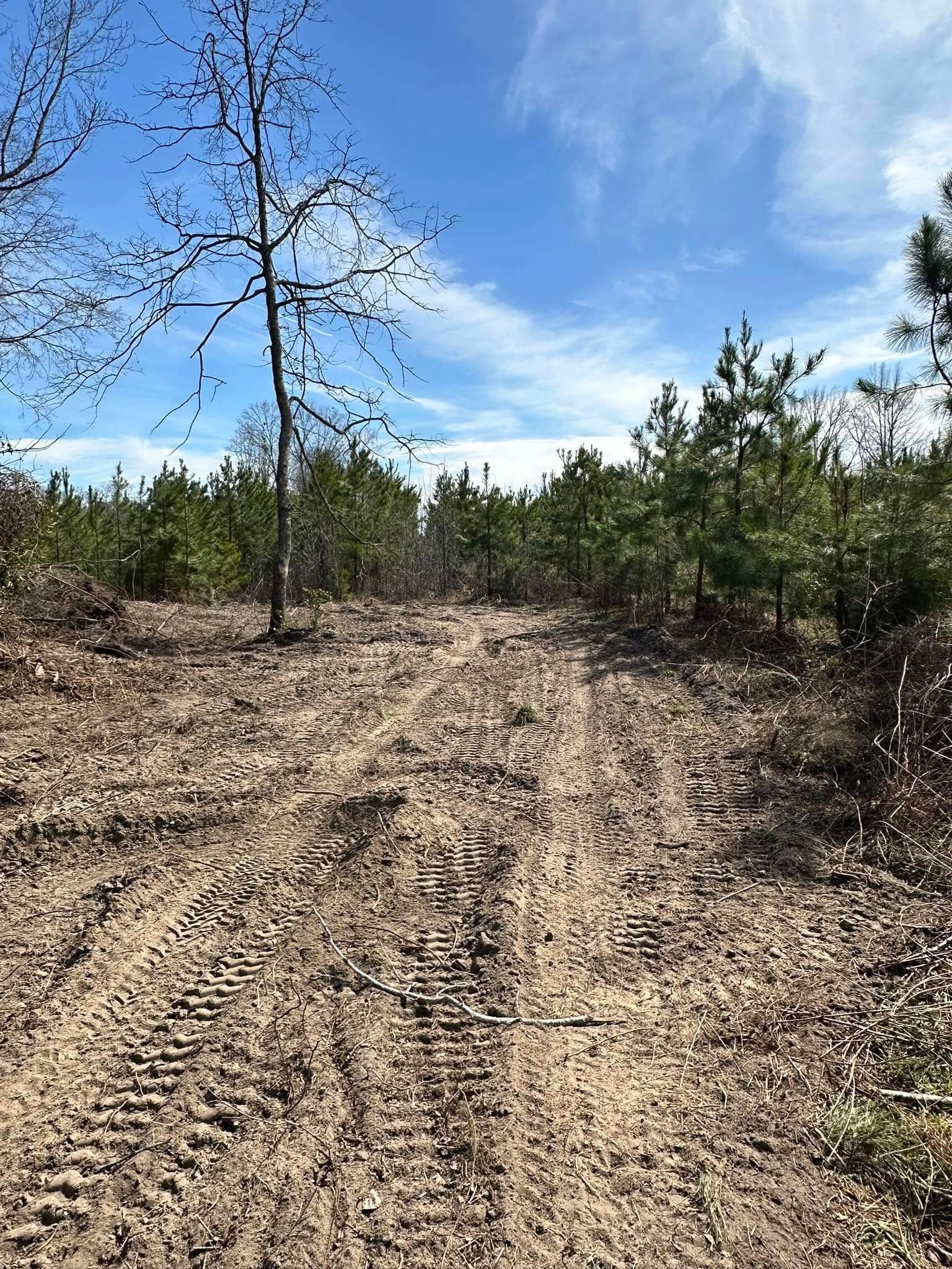 Tree Removal for Page Outdoor Services in Wrightsville, GA