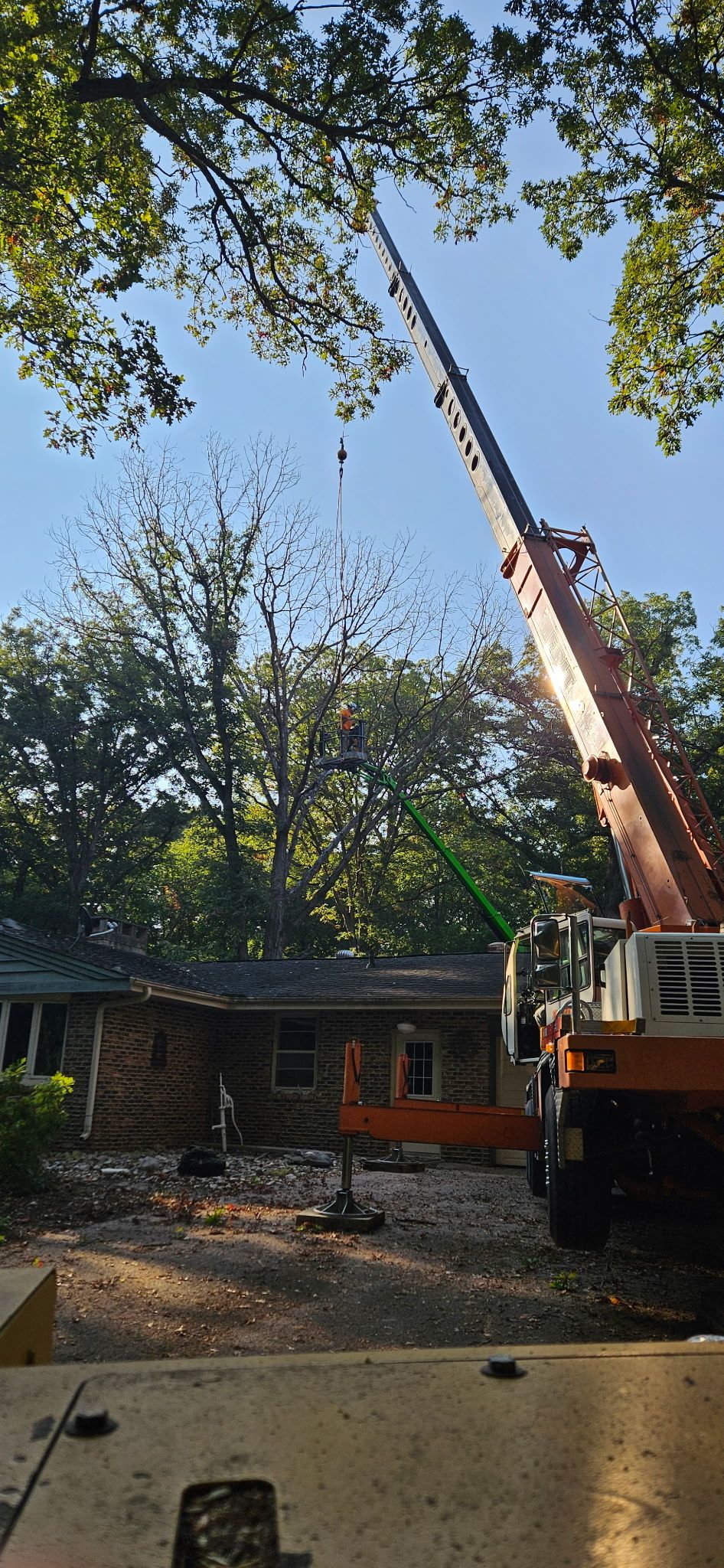 Tree Removal for Olson Tree Service, Inc in Rockford, IL