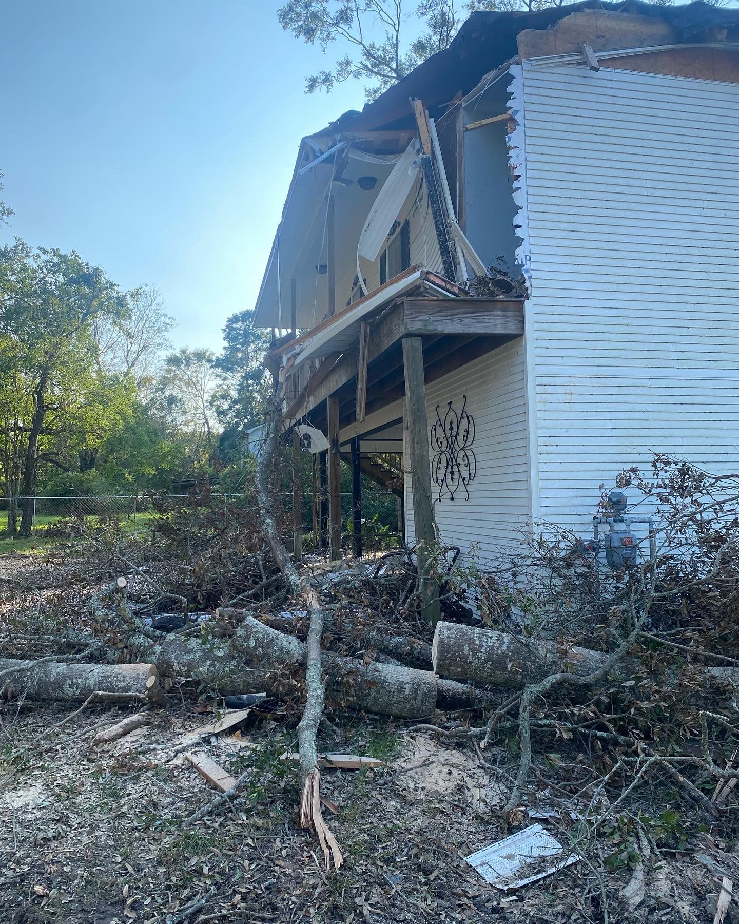  for Professional Tree Service USA in Chattanooga, TN