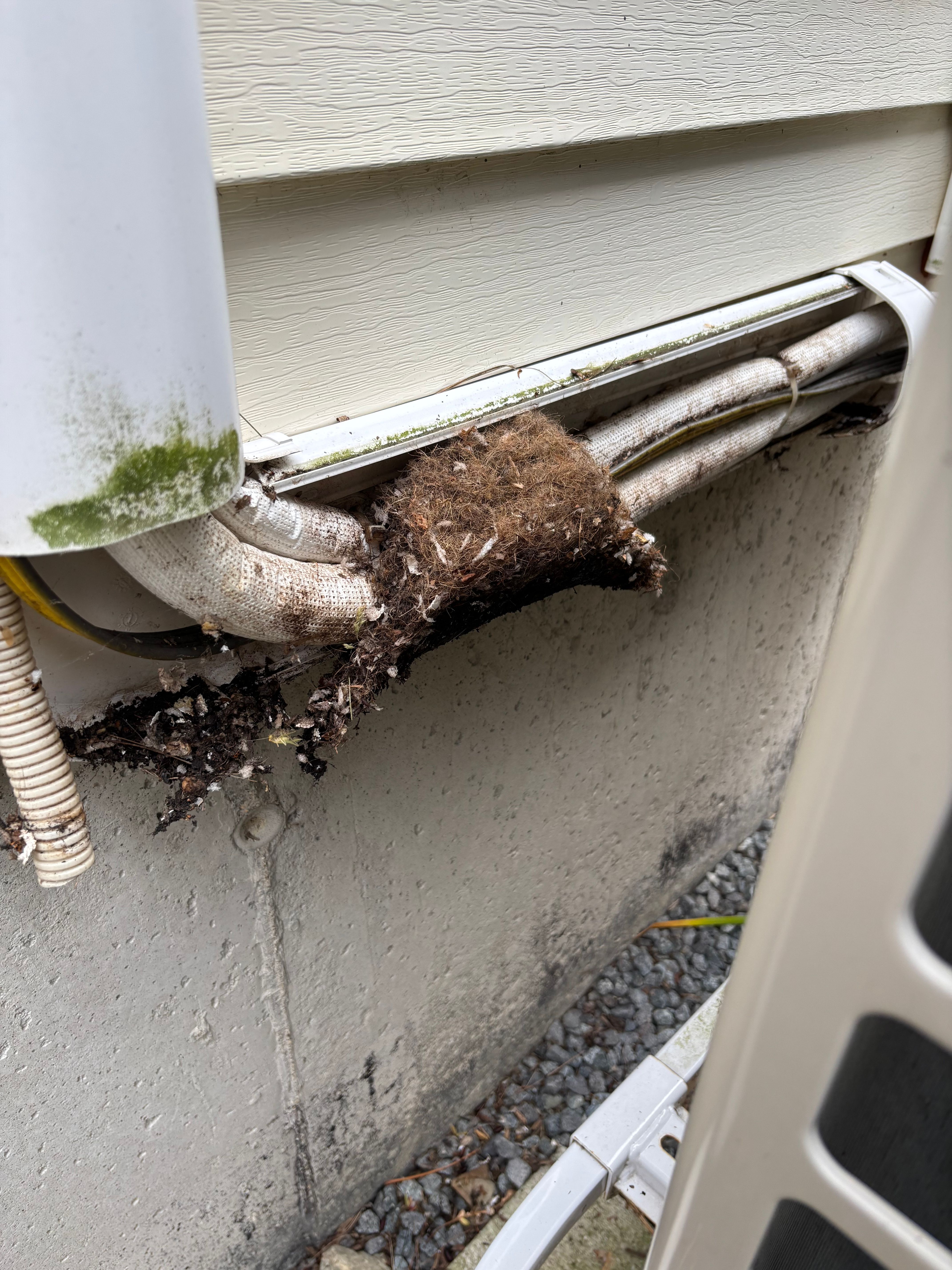  for Folsom Heating & Cooling in Epsom, NH