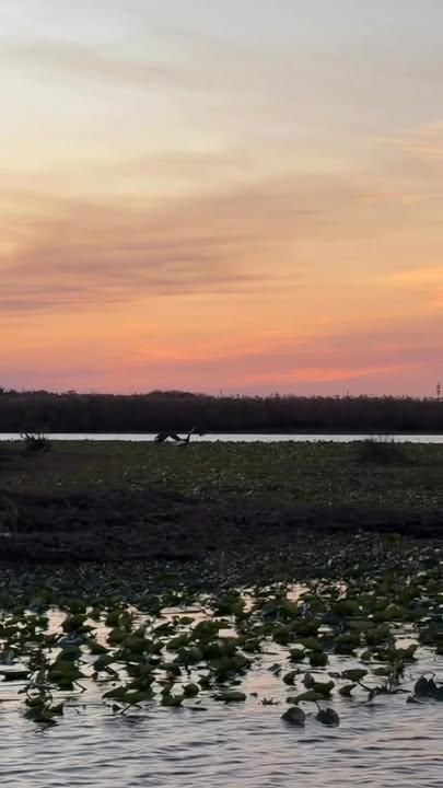 All Photos for C4 Ground Control in Oviedo, FL