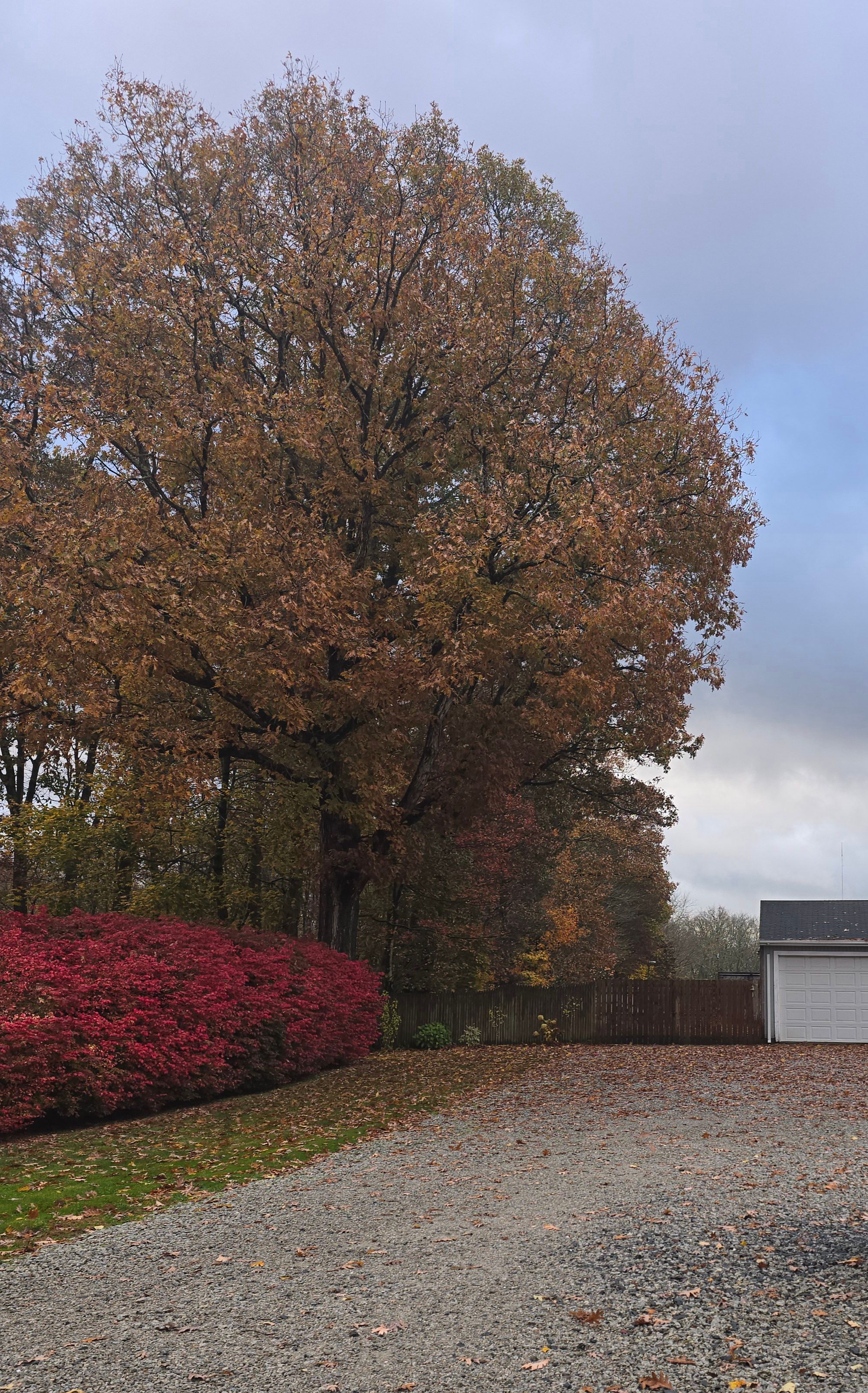  for M.J. Construction & Landscape INC in Bristol, RI