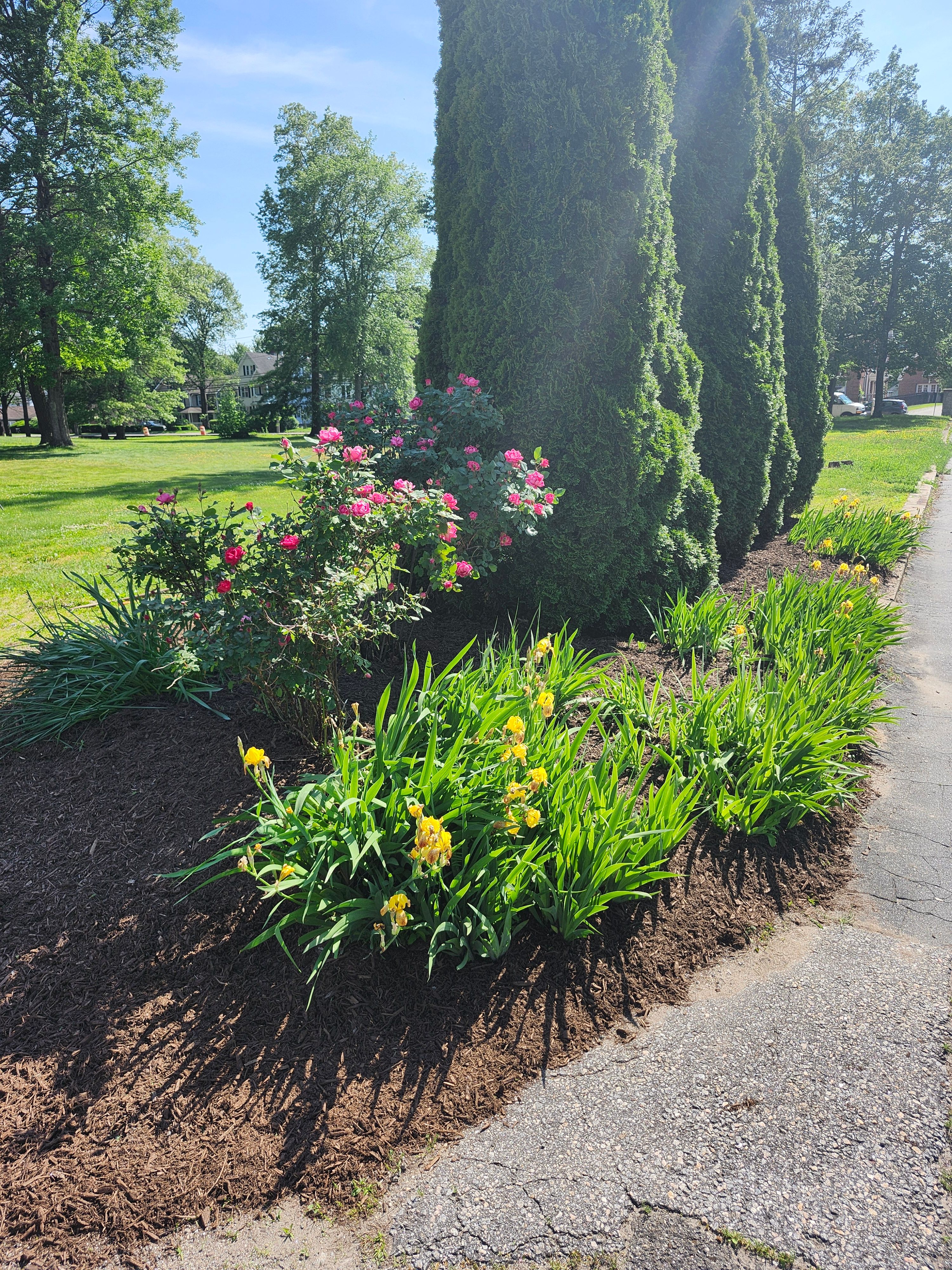 Flower & Tree Planting for Landscape Innovations LLC in Torrington, CT