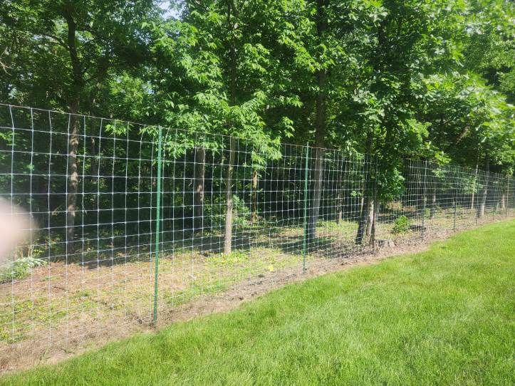  for Lawn Ranger Yard And Tree Service LLC in Ottumwa, IA