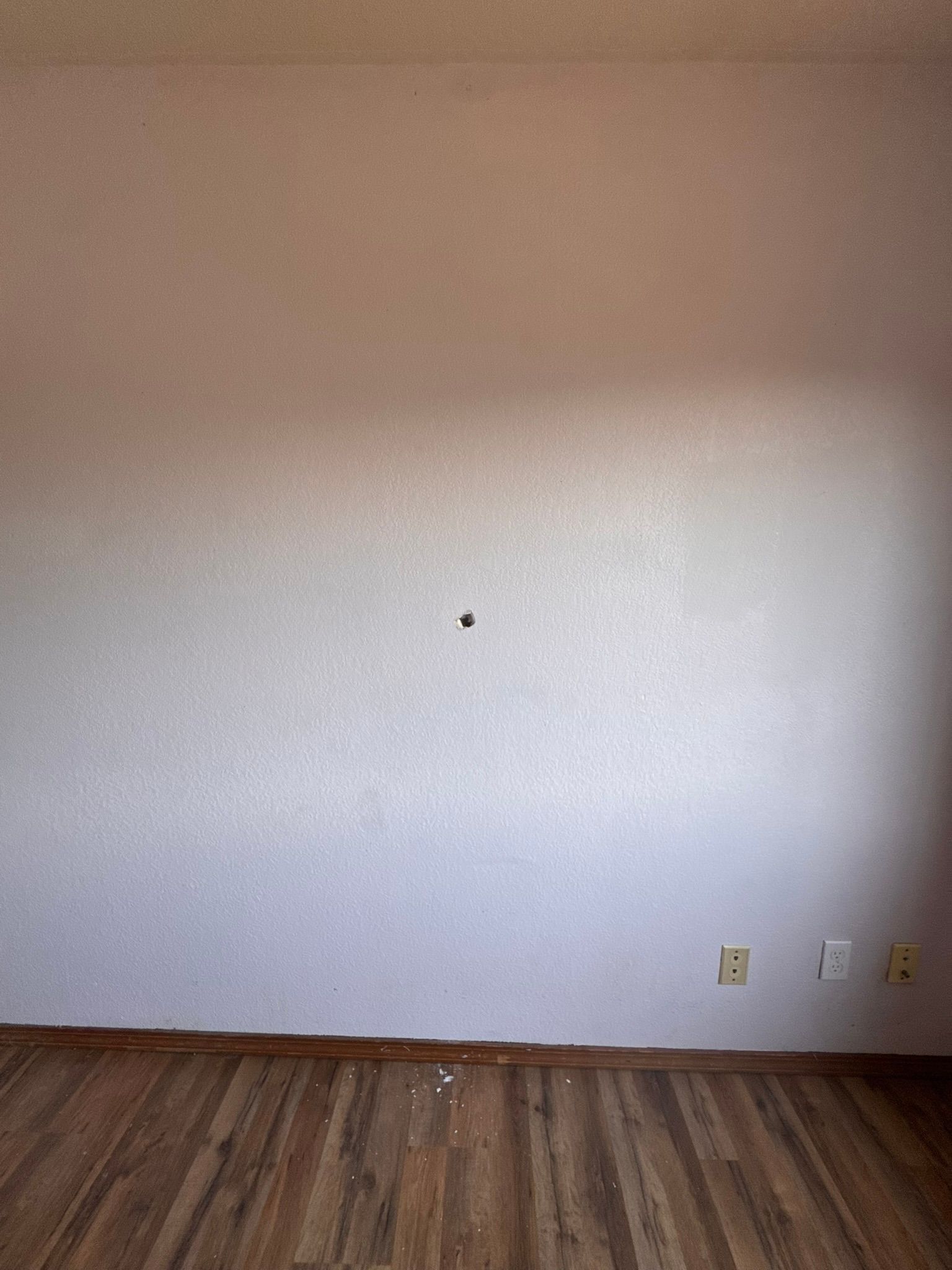  for Tony's Remodeling & Painting in Renton, WA