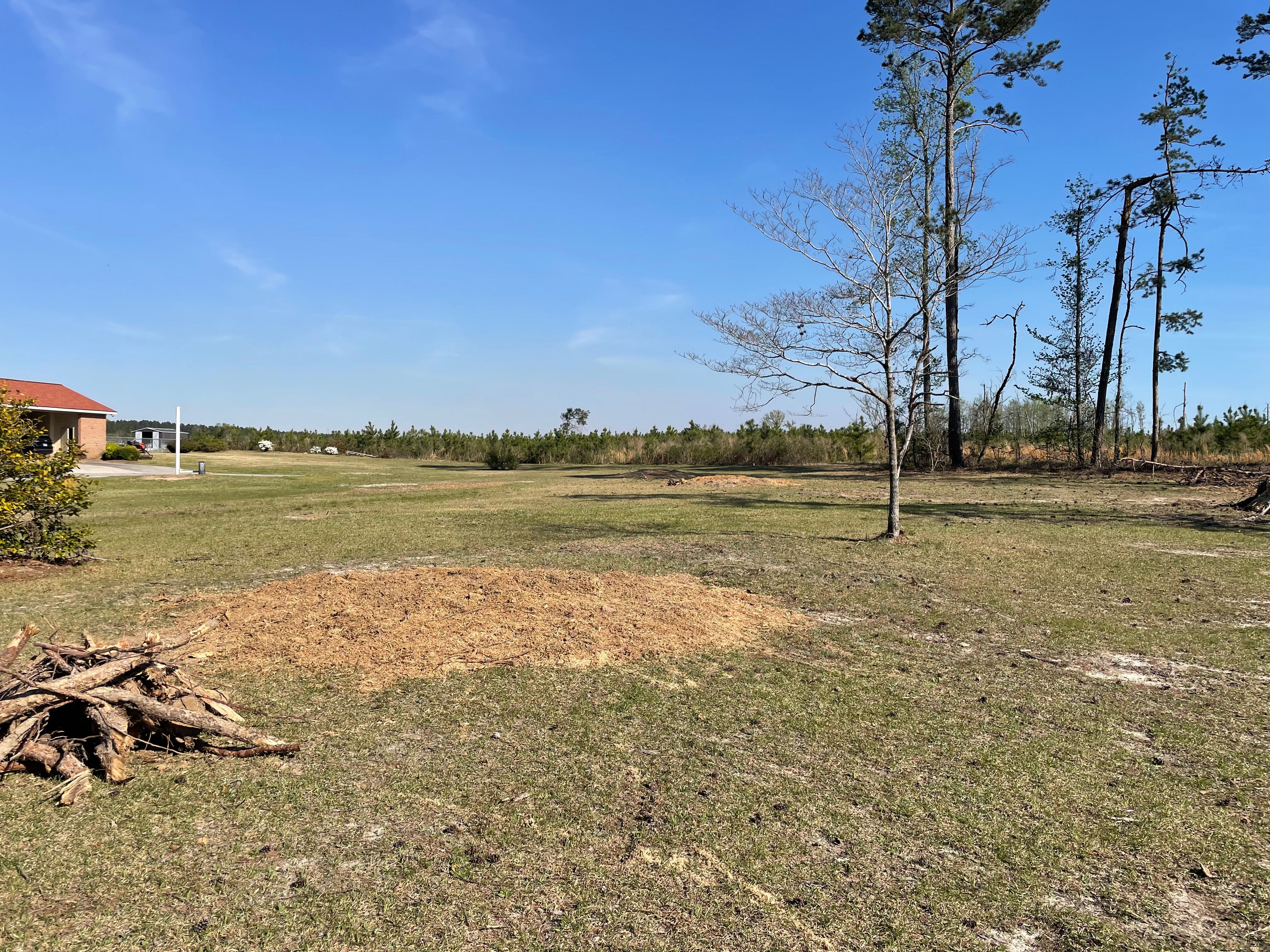 All Photos for MJB’s Stump Grinding LLC in Tennille, GA