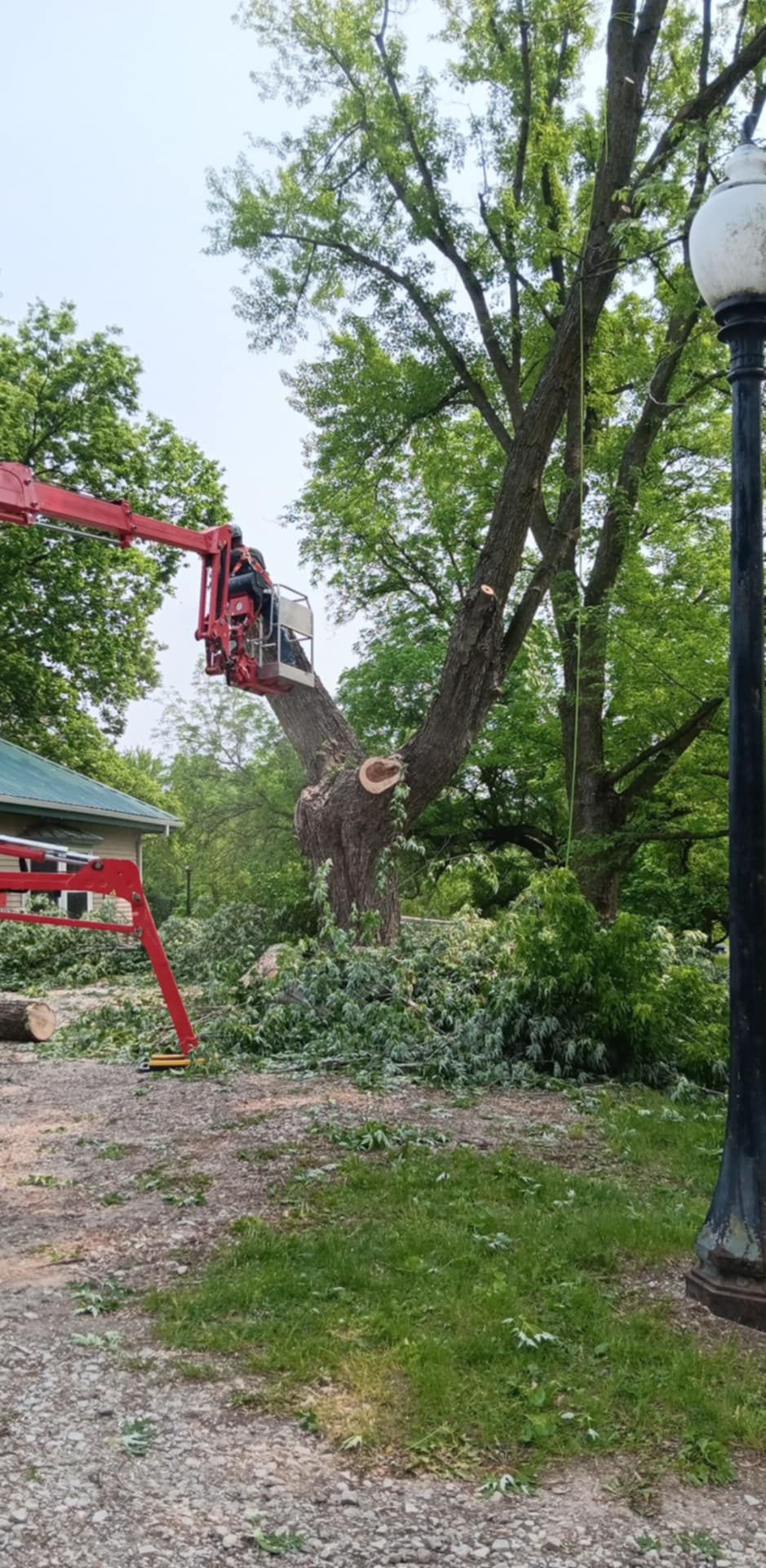 for Lawn Ranger Yard And Tree Service LLC in Ottumwa, IA