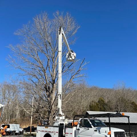 Fall and Spring Clean Up for Atwood’s Tree Care in Liberty,  KY