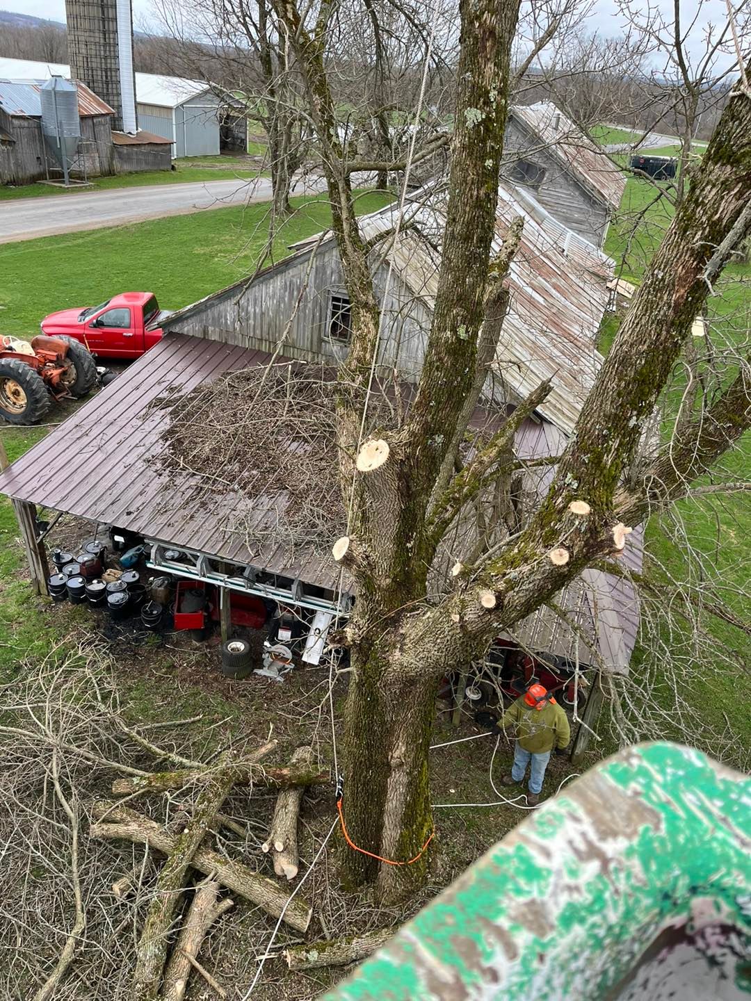  for Helfert Tree Service in Boonville, NY