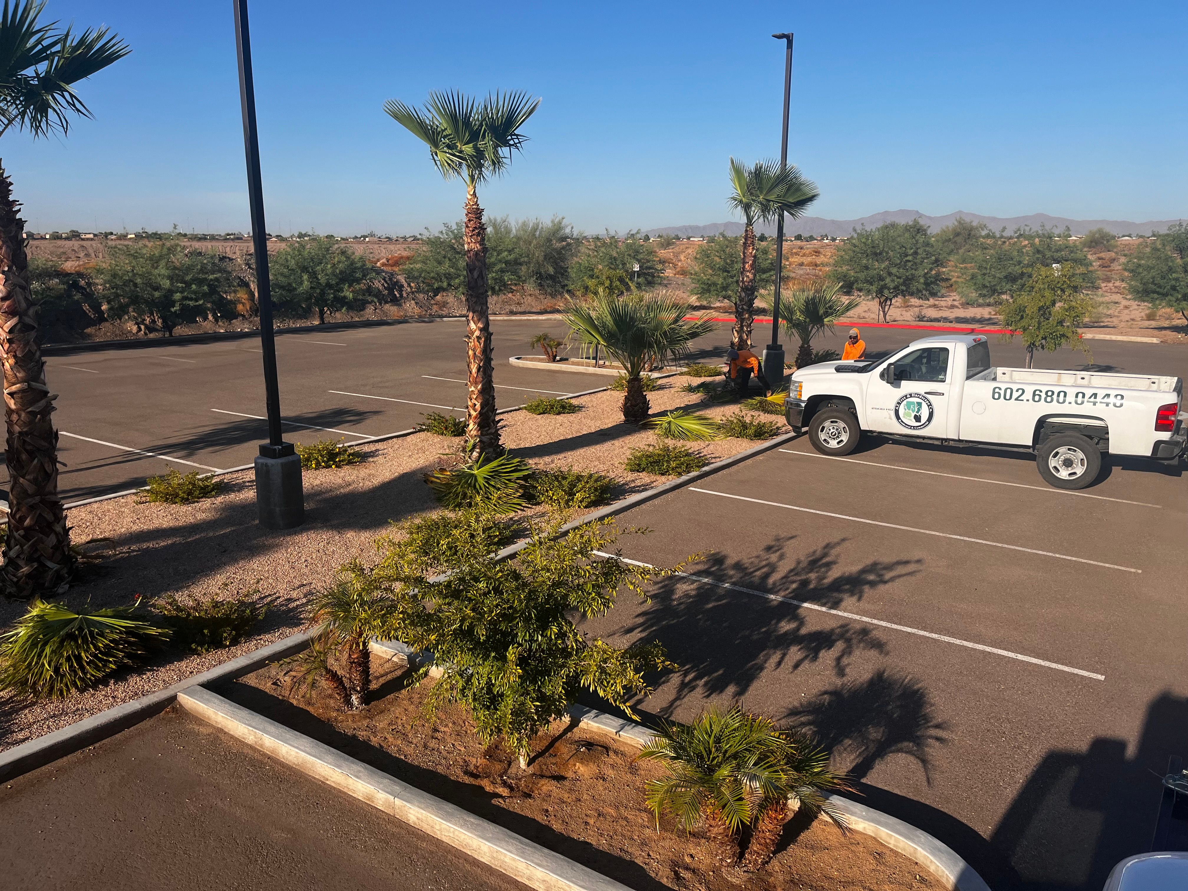  for AZ Tree & Hardscape Co in Surprise, AZ