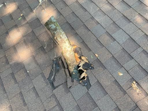  for TLC Professional Tree Service in Bedford, TX