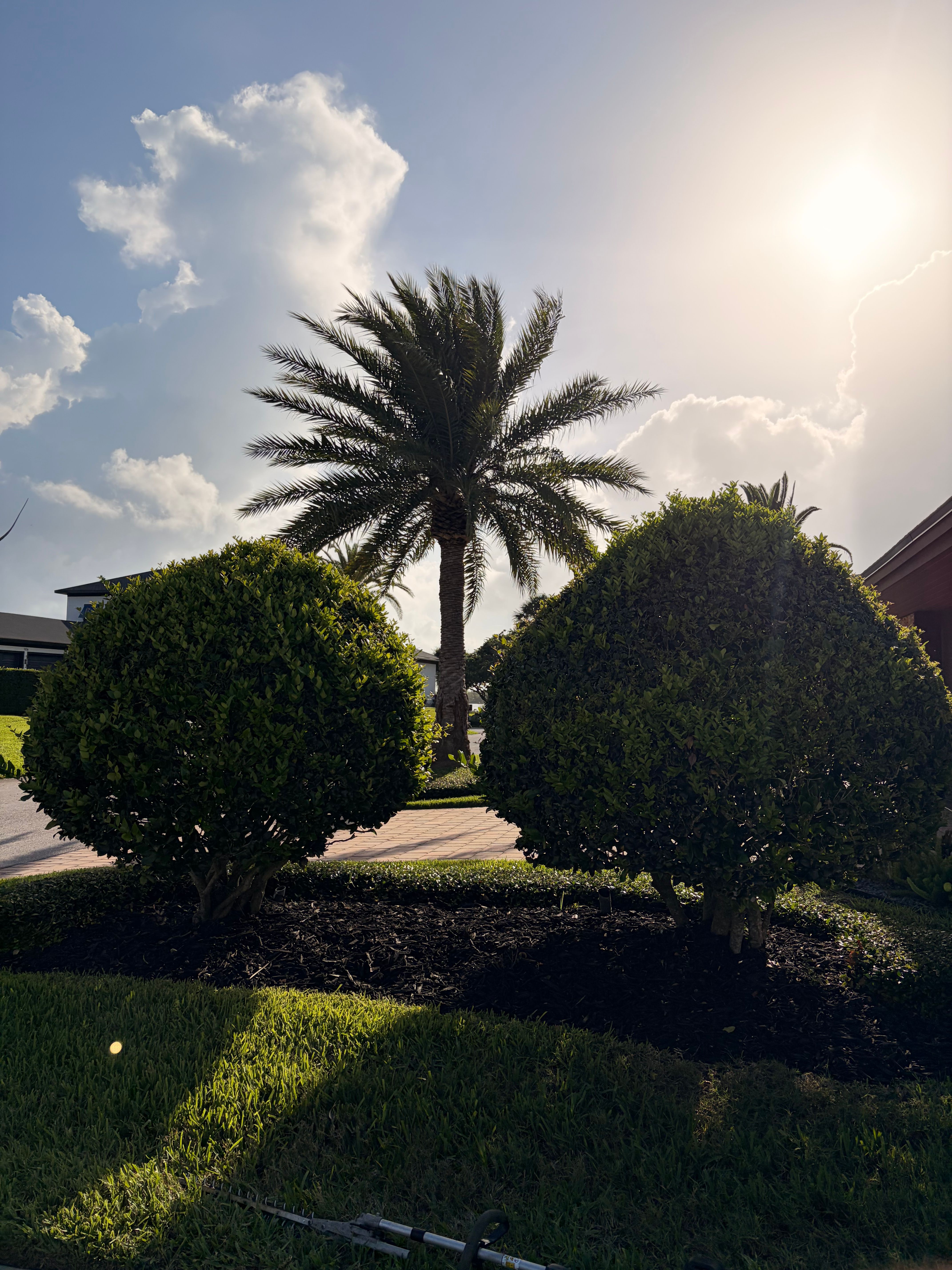  for Vanic's Landscaping in Port Orange, FL