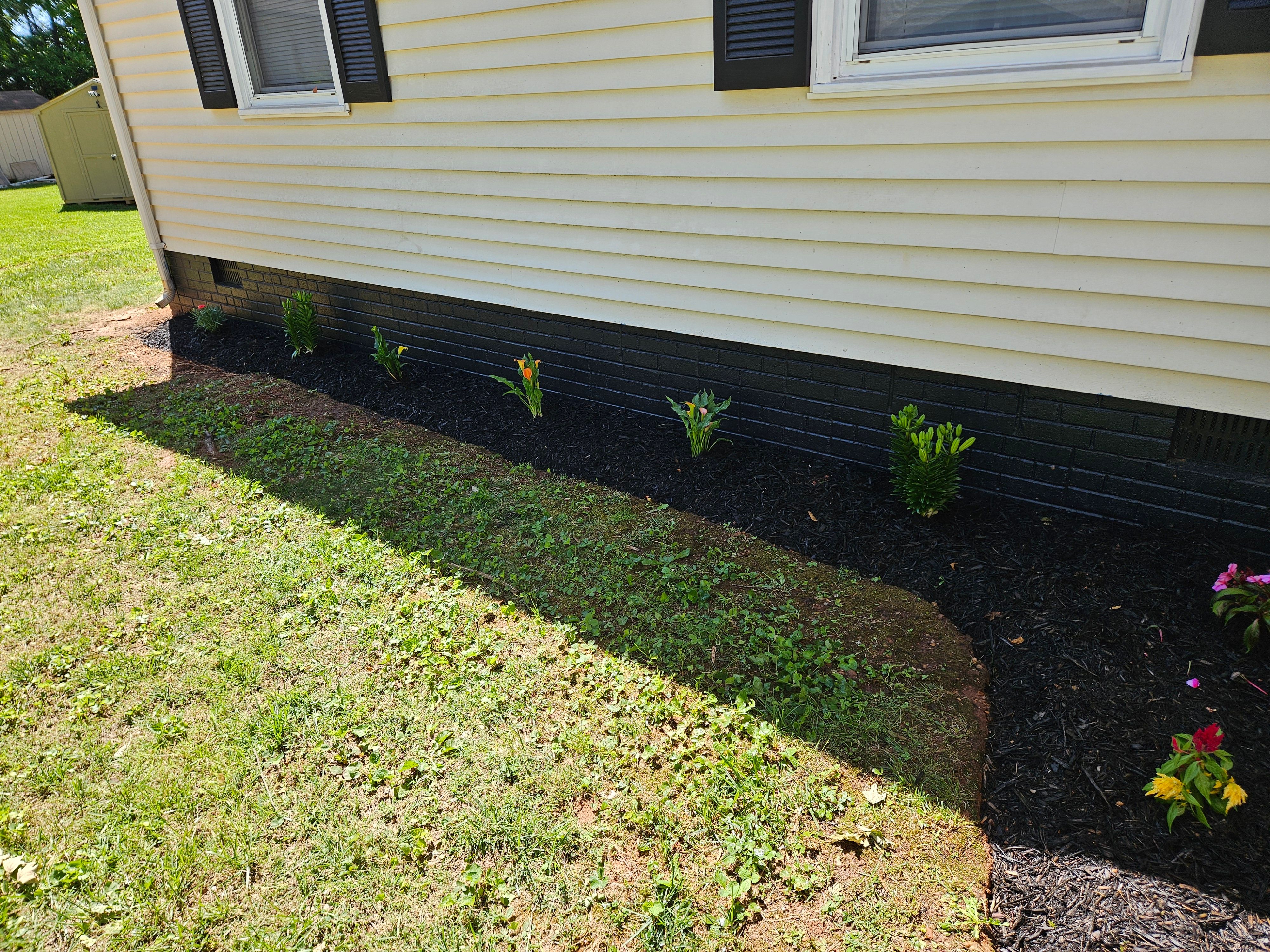 All Photos for Browns Grounds in Culpeper, VA