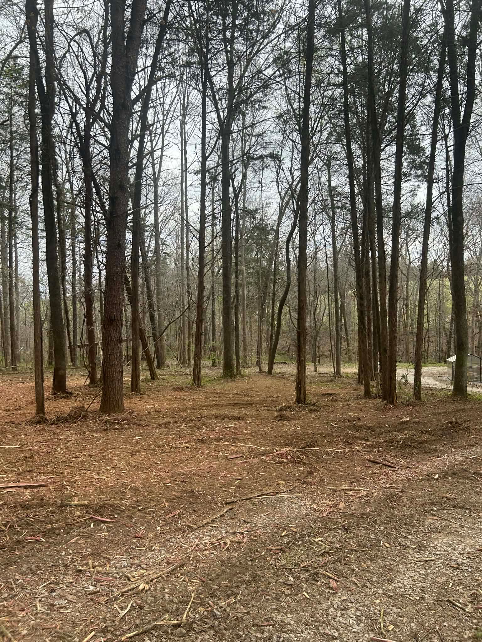  for Z's Land Management & Forestry Mulching in Smithville, TN