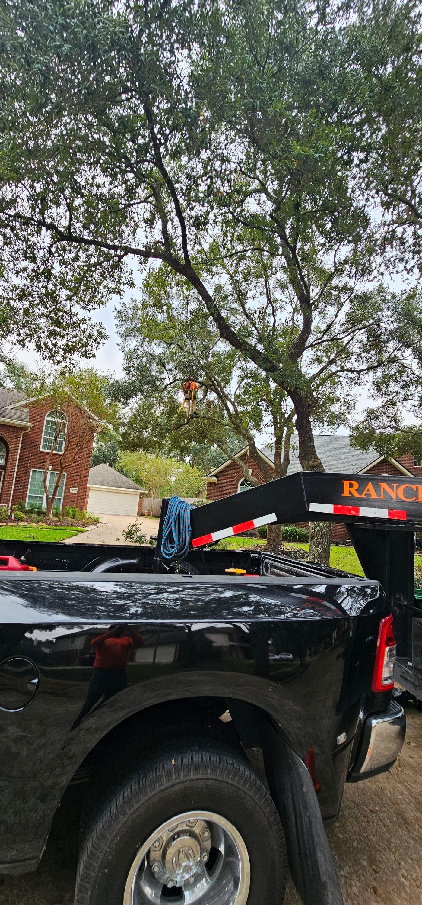  for Servin's Tree Care  in Houston, TX