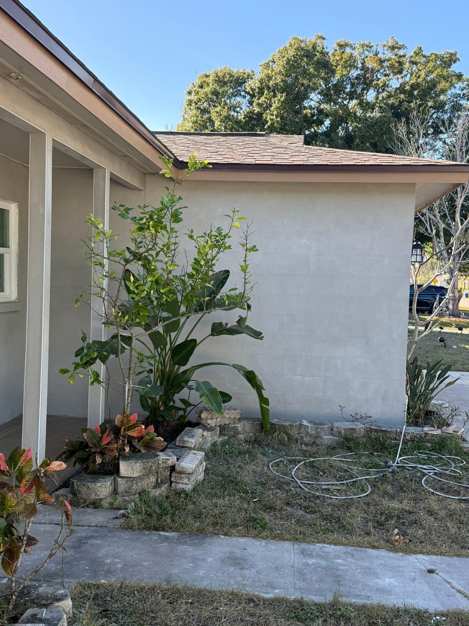  for Escorpio Painting in Tampa, FL