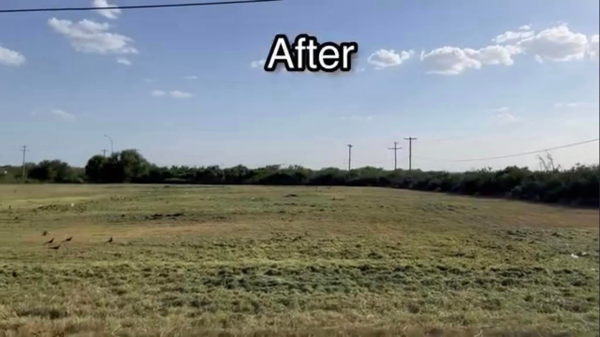  for LL Lawn Service & Shredding in Kenedy, TX