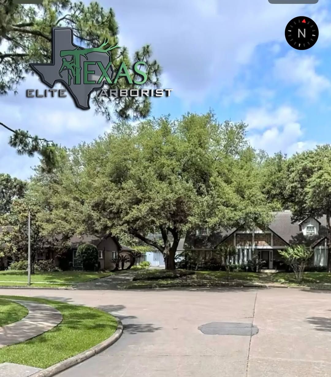  for Texas Elite Arborist in Houston, TX