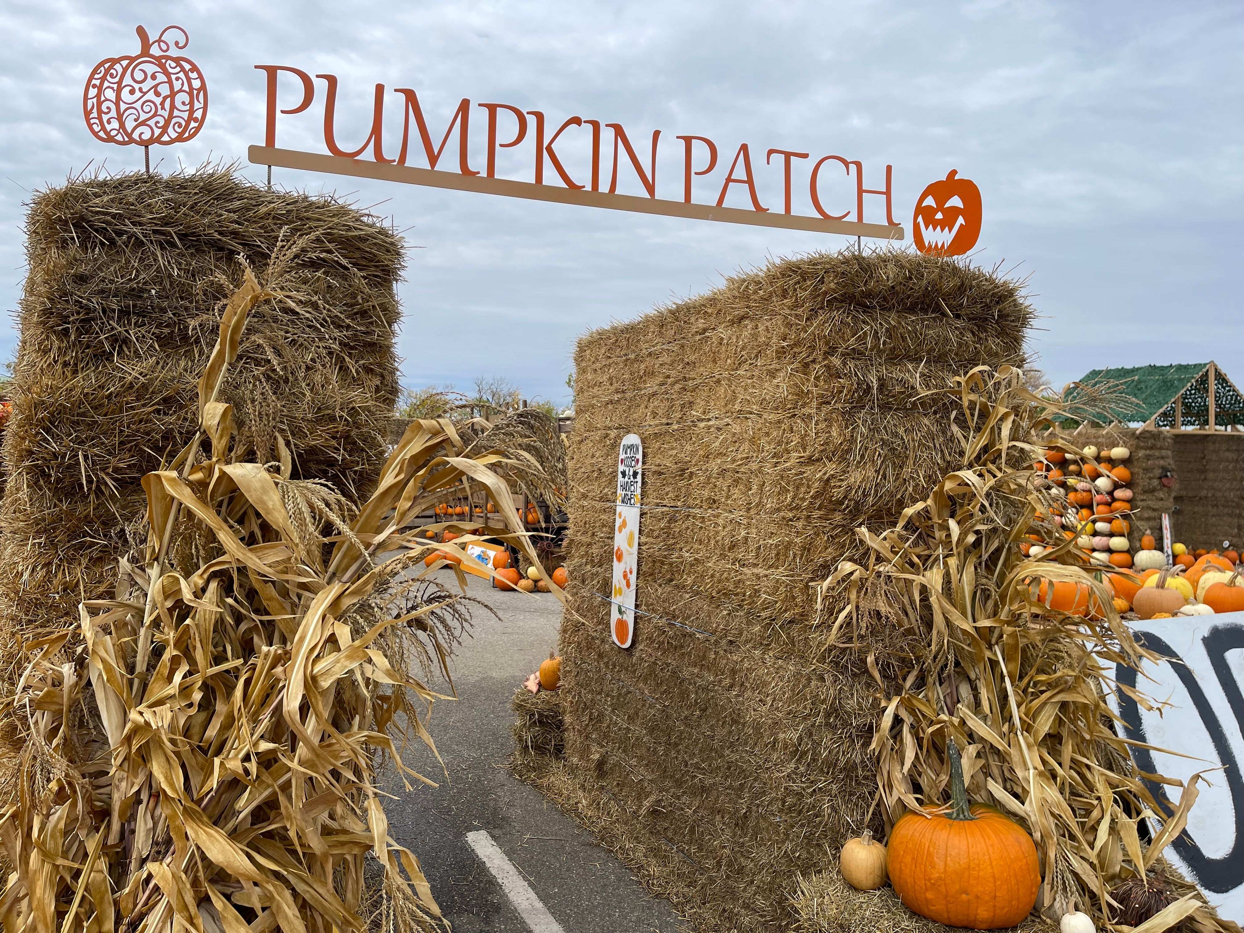  for Fusion Welding in Pierz, MN