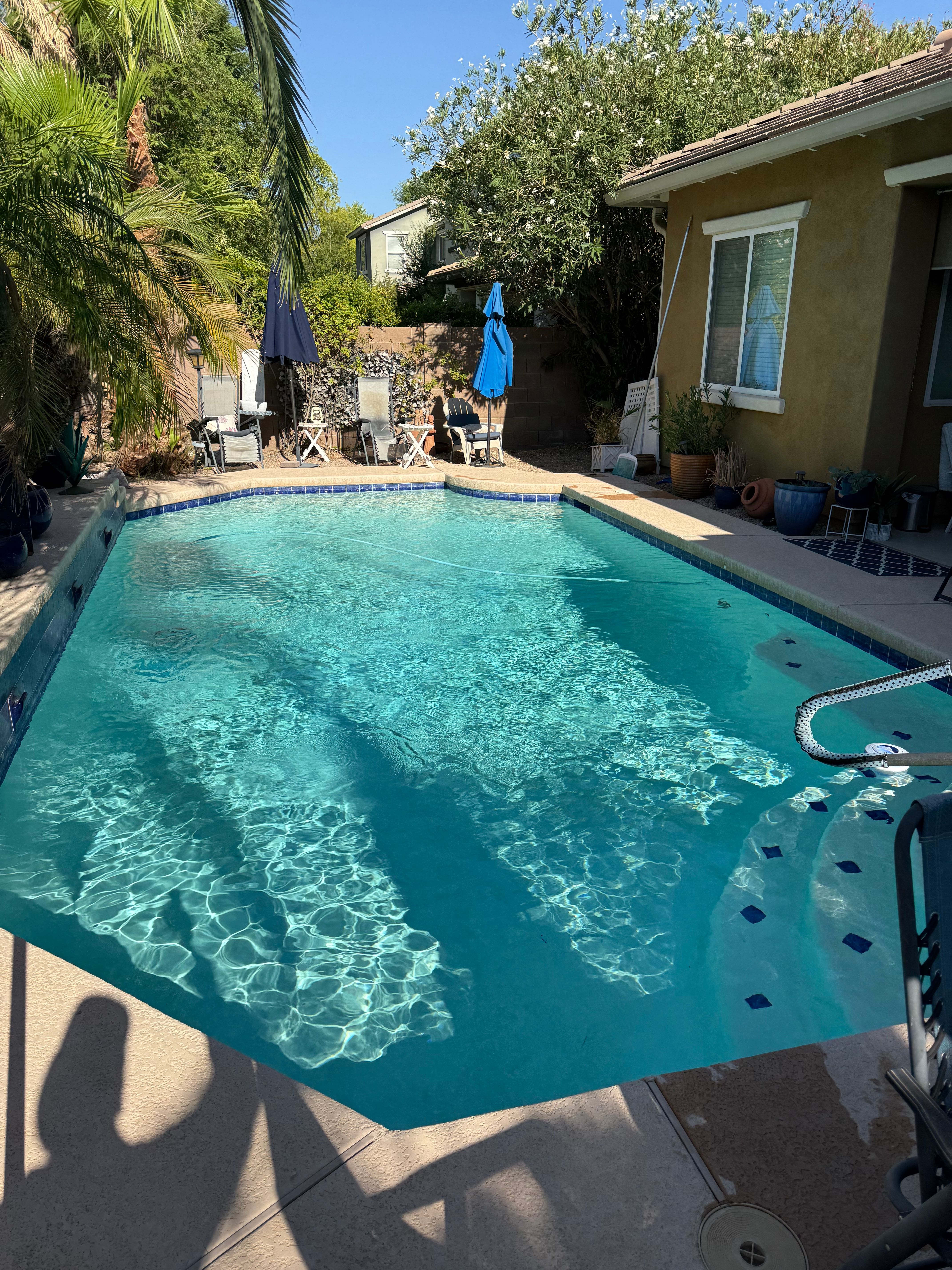 All Photos for Trublu Pool and Spa in Queen Creek, AZ