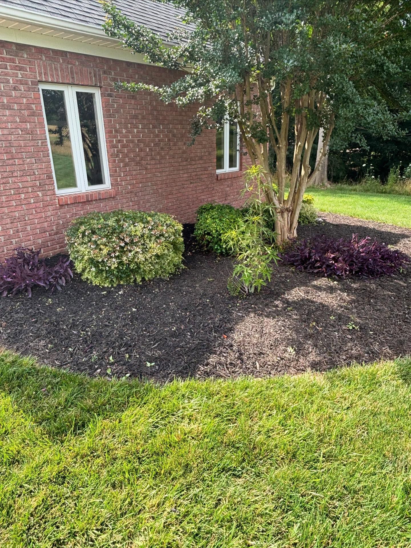 All Photos for Grandview Lawn Care in Norwood, NC