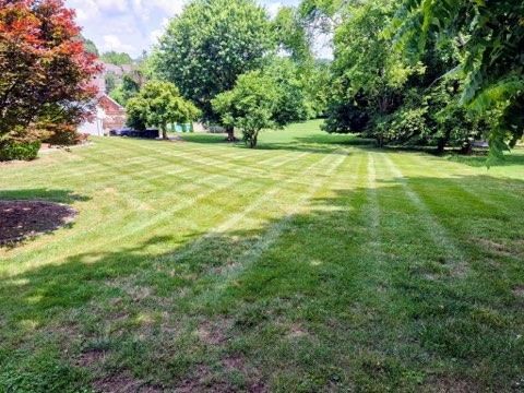  for Pro Lawn and Landscape in White Bluff, TN