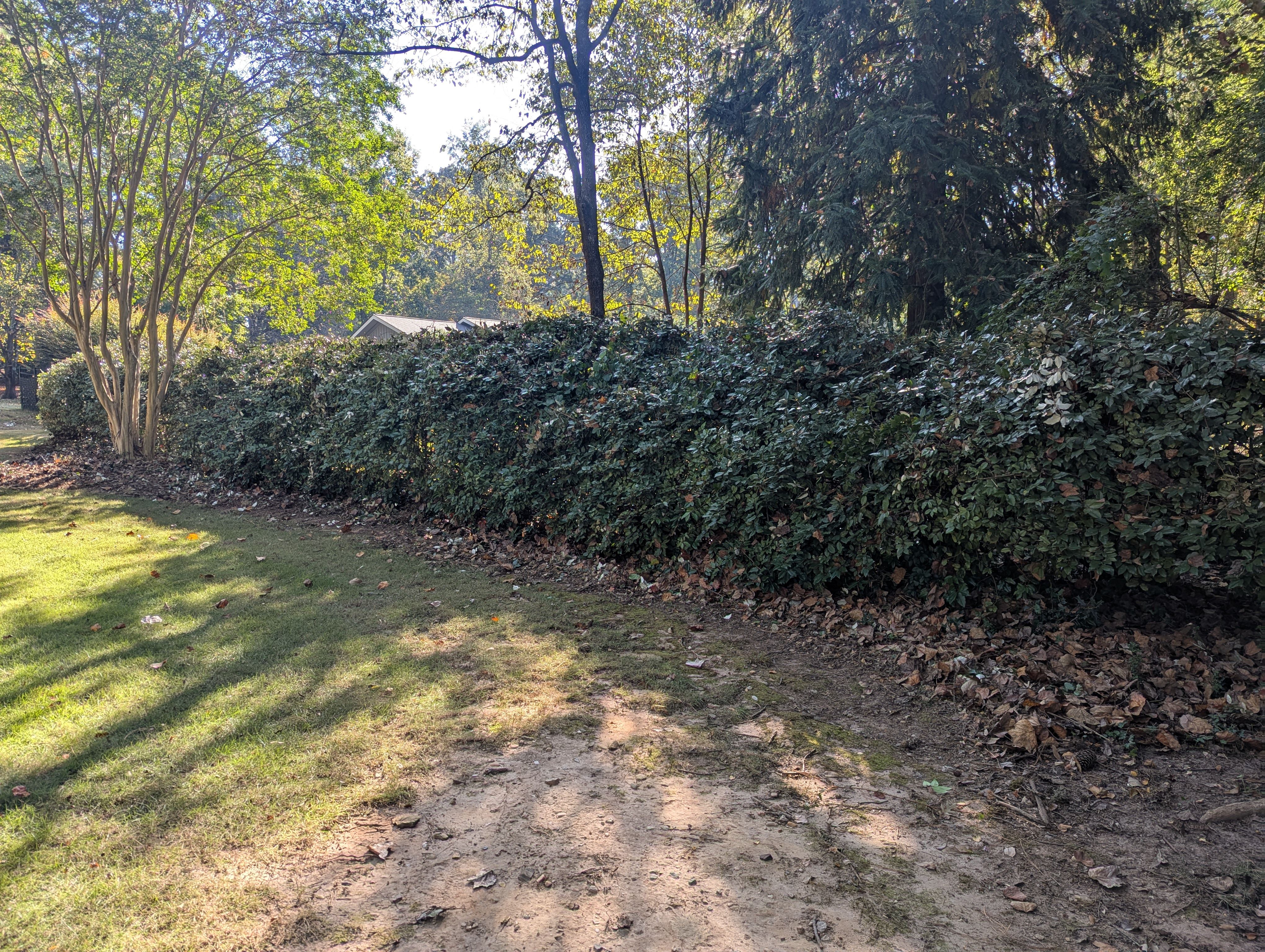  for Fantastic Lawn Care in Fayetteville, GA