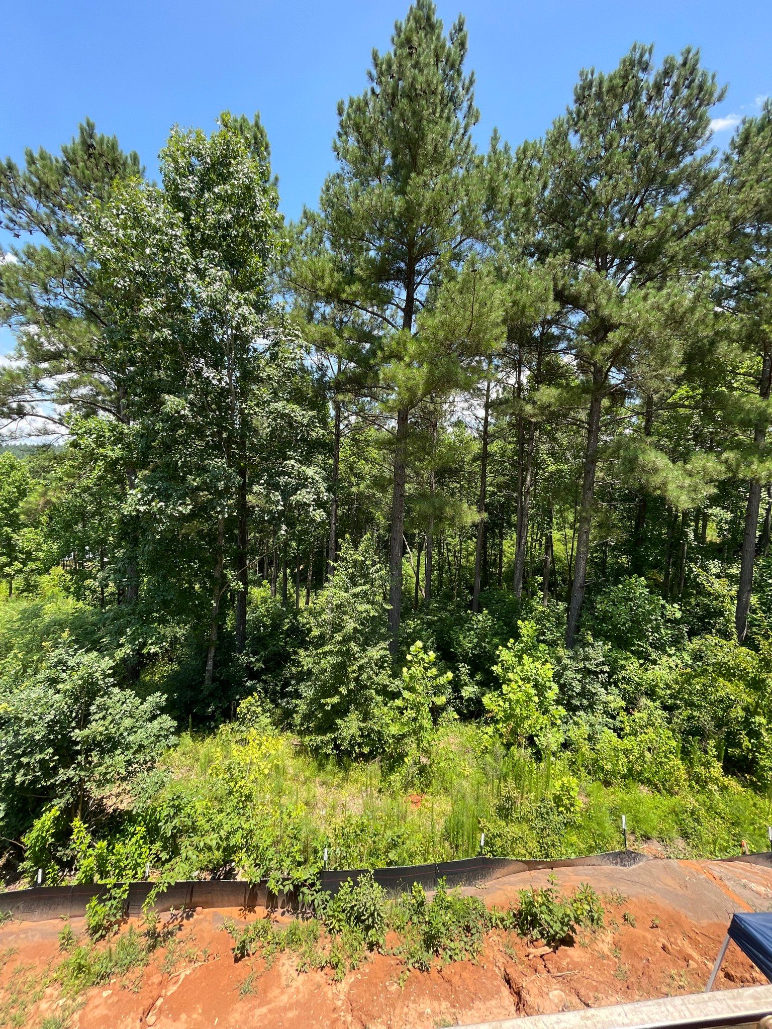  for Stem Tree Service in Belmont, NC