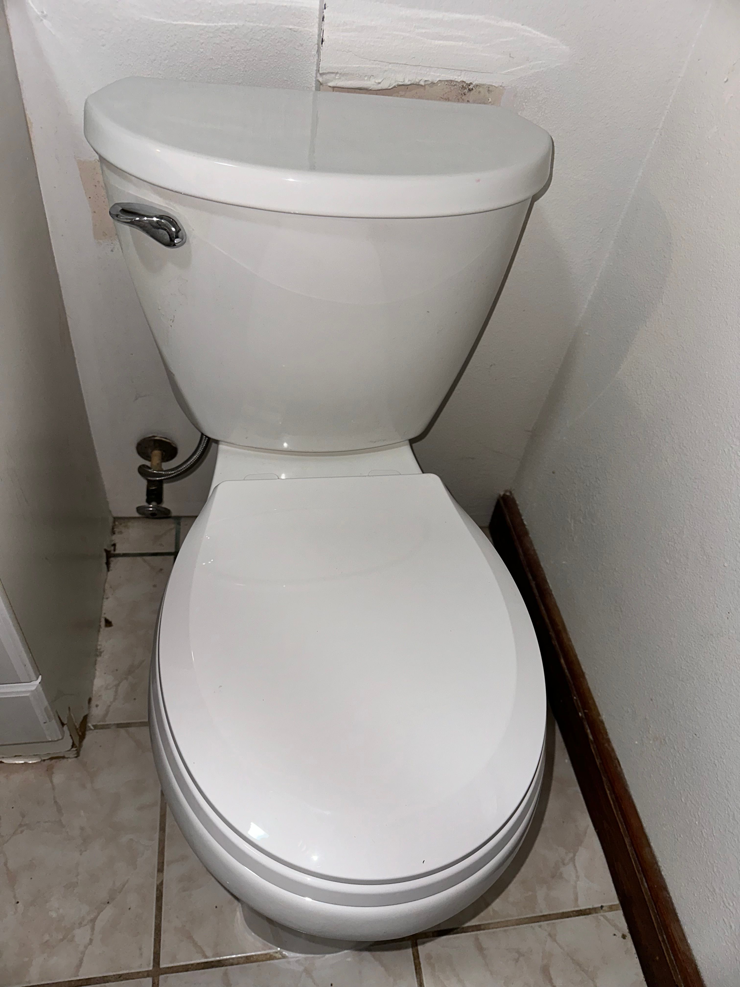 All Photos for The Golden Plumber in Pensacola, FL