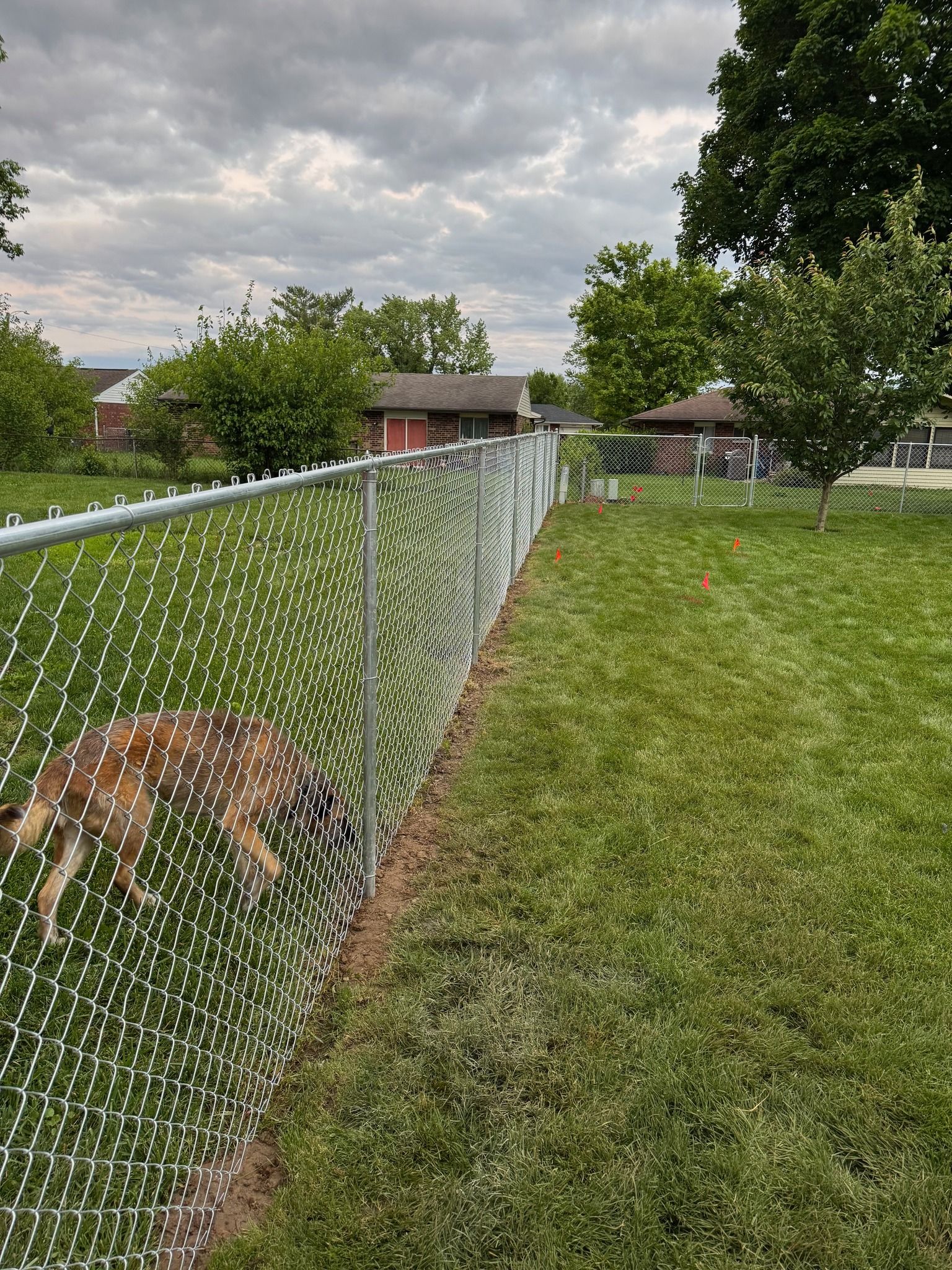 Fencing for TMP Fence in Xenia, OH