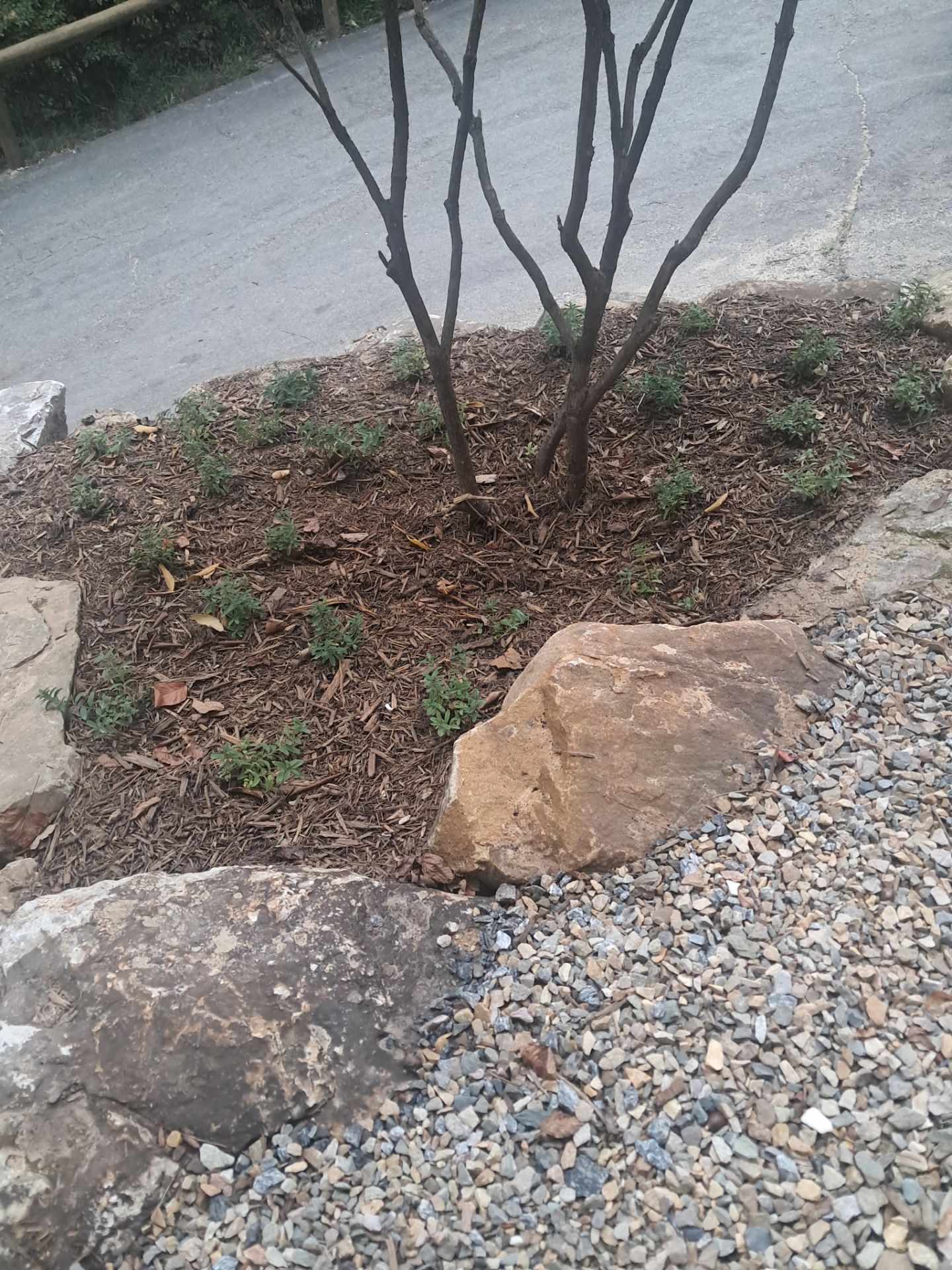  for Rescue Grading & Landscaping in Marietta, SC
