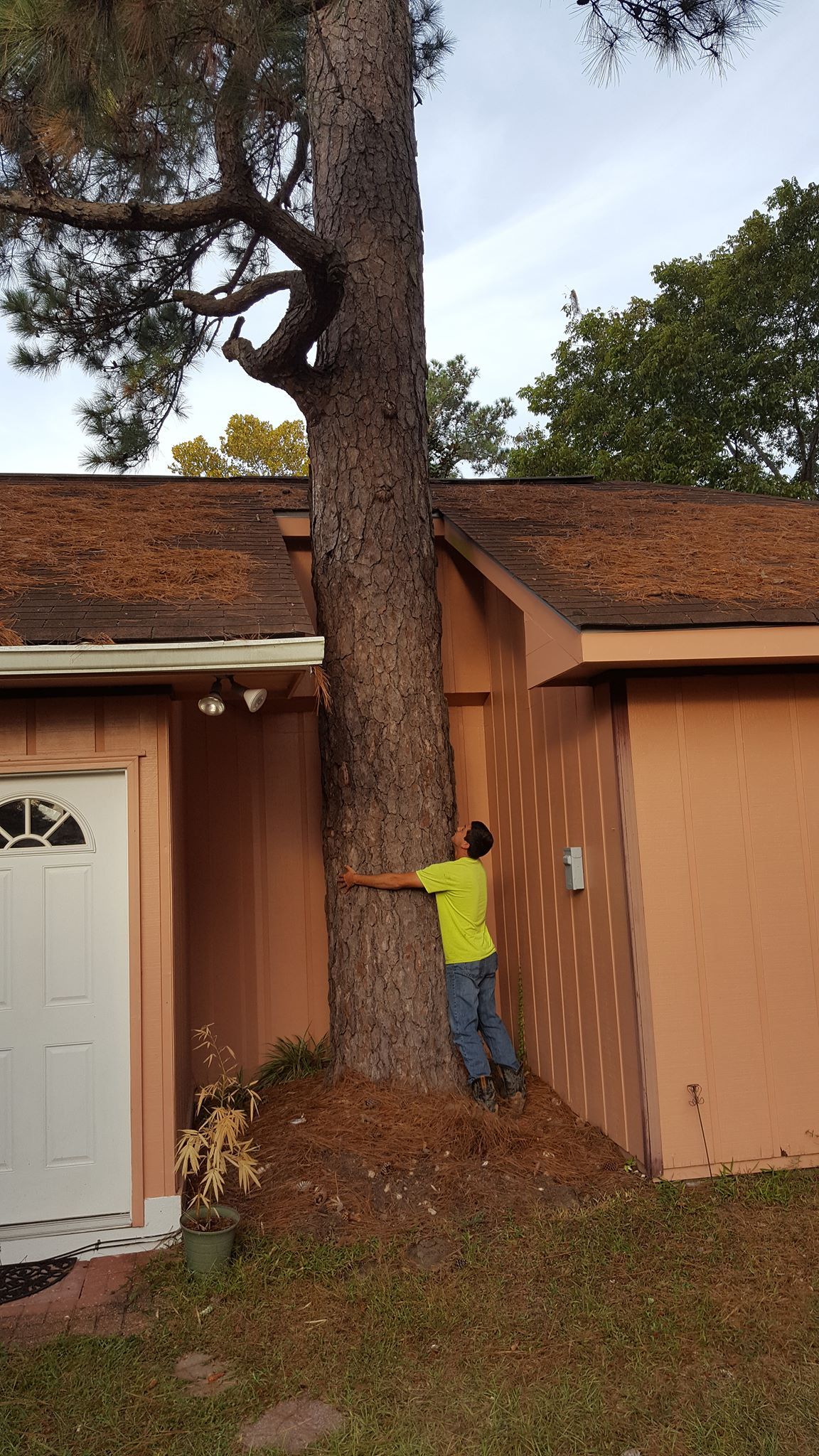  for David's Tree Service in Slidell, LA