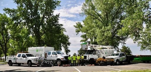  for Clean Cut Tree Service in Gillette, WY