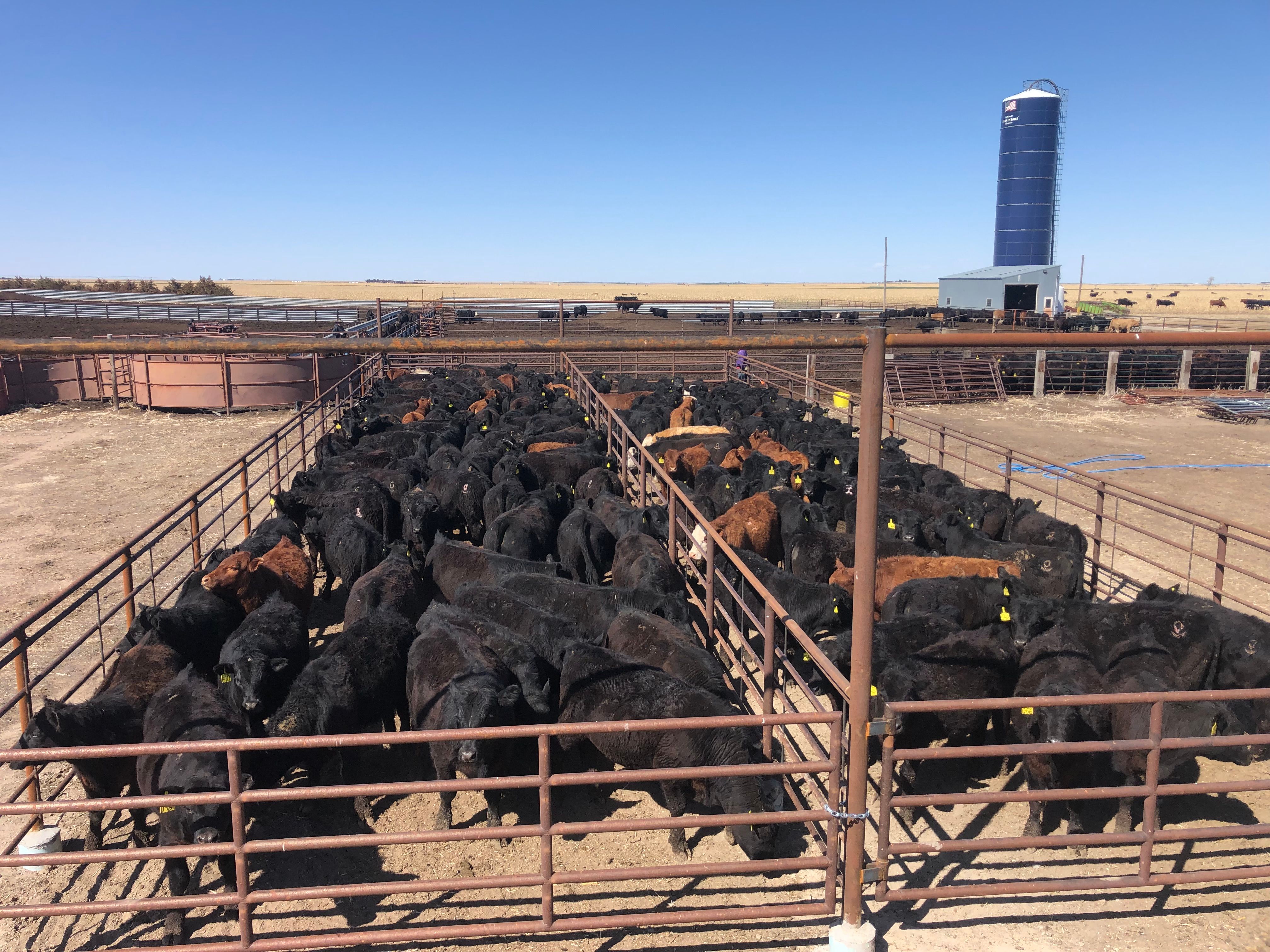  for Bullseye Services LLC in Goodland, KS